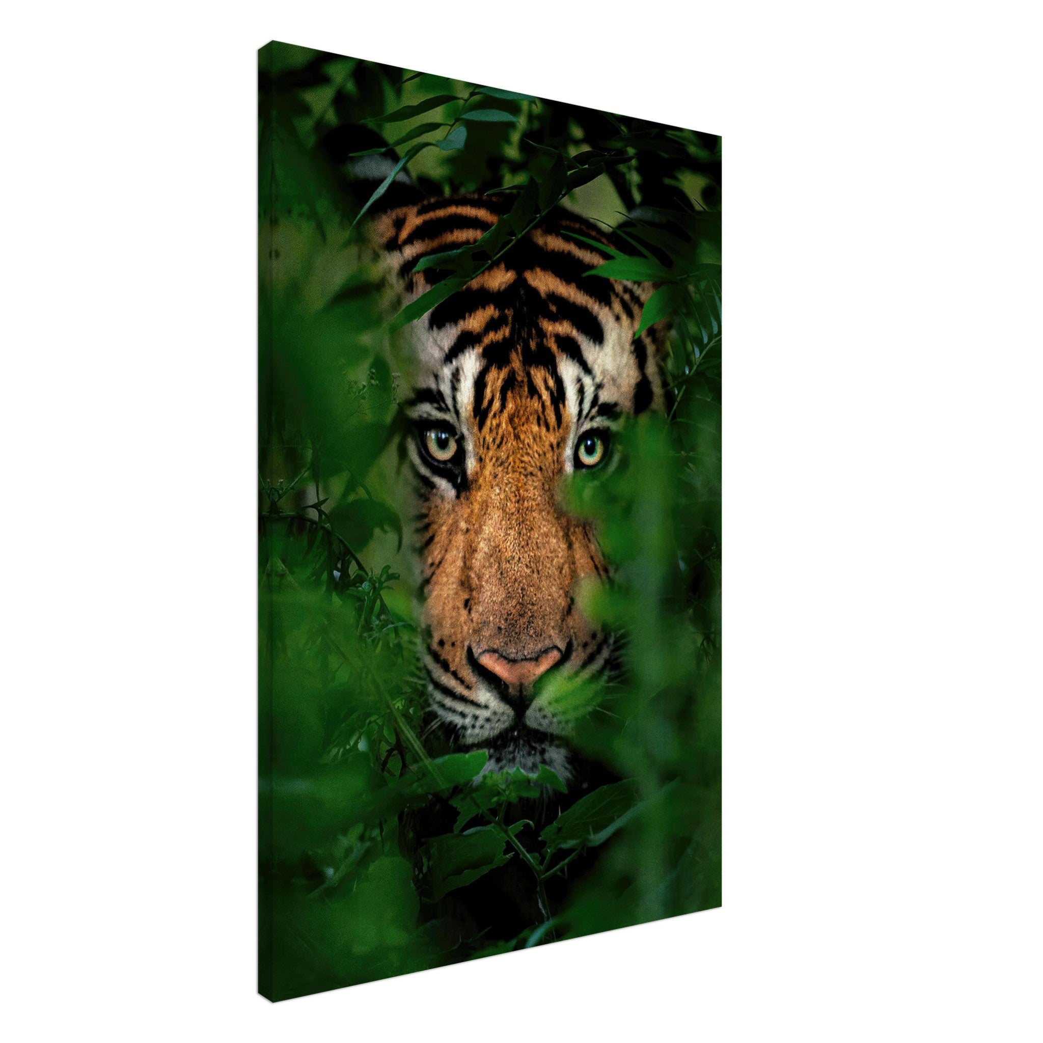 Majestic tiger peering through lush green foliage on canvas, capturing wild beauty and elegance.