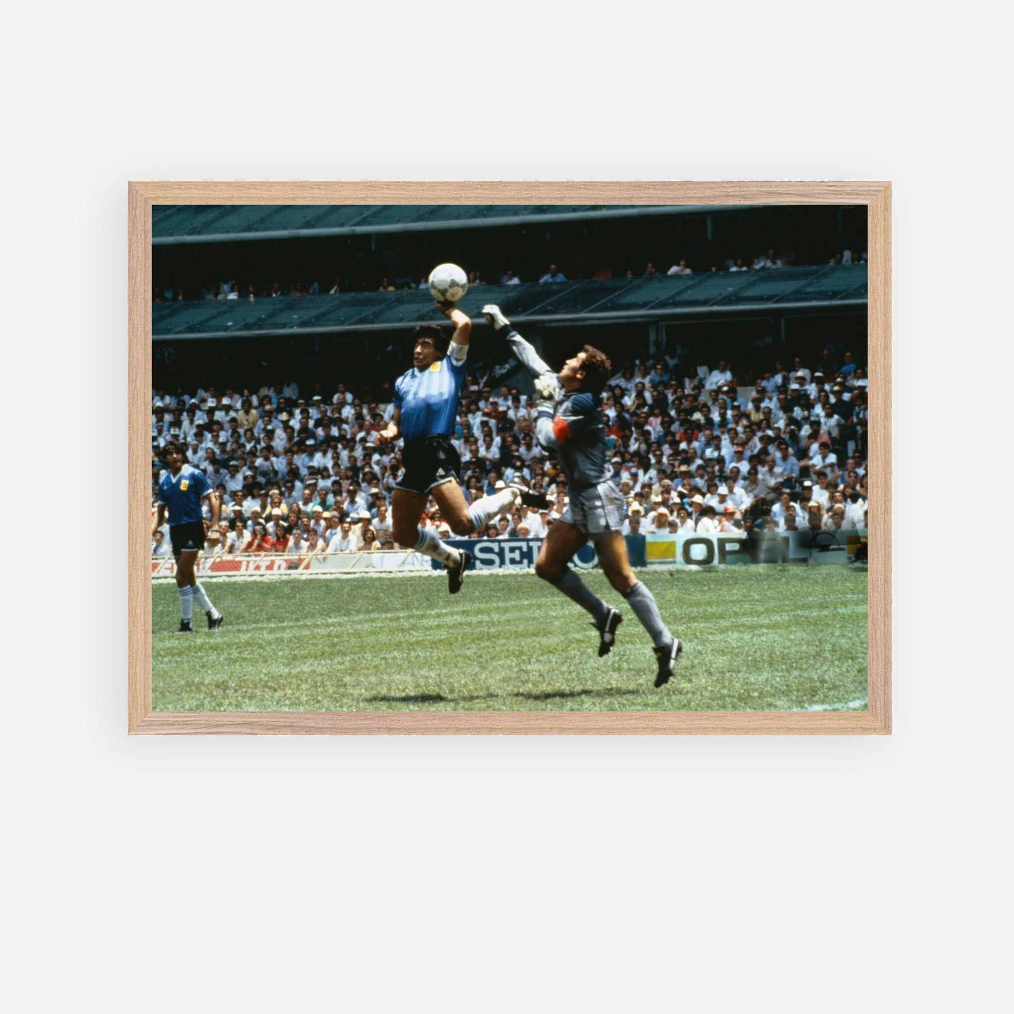 338ea83a-1bdc-4883-9157-ff555897090a