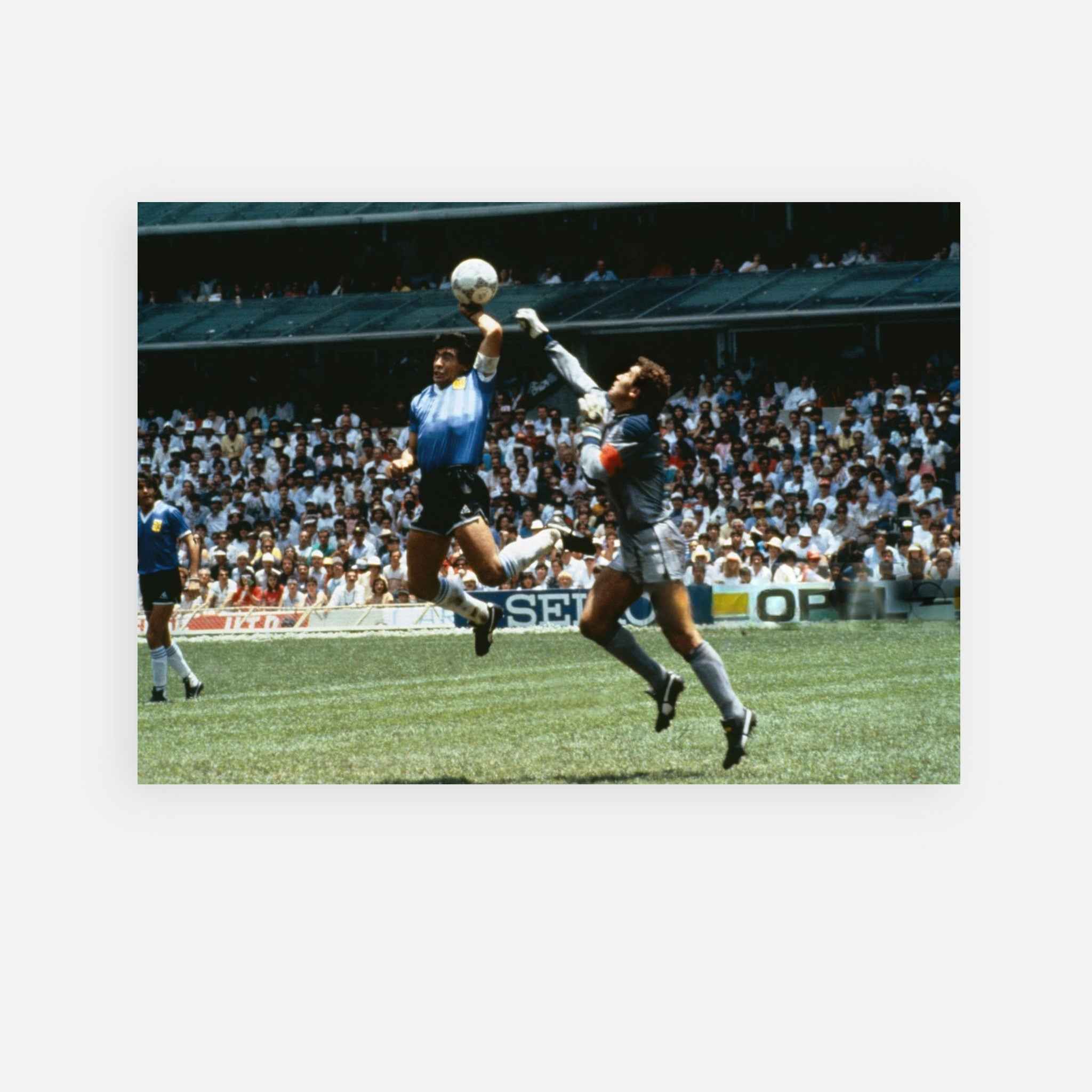 3398d78a-0eca-416c-b3d4-c8025ae42222