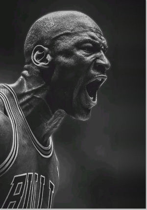 Michael Jordan Chicago Bulls