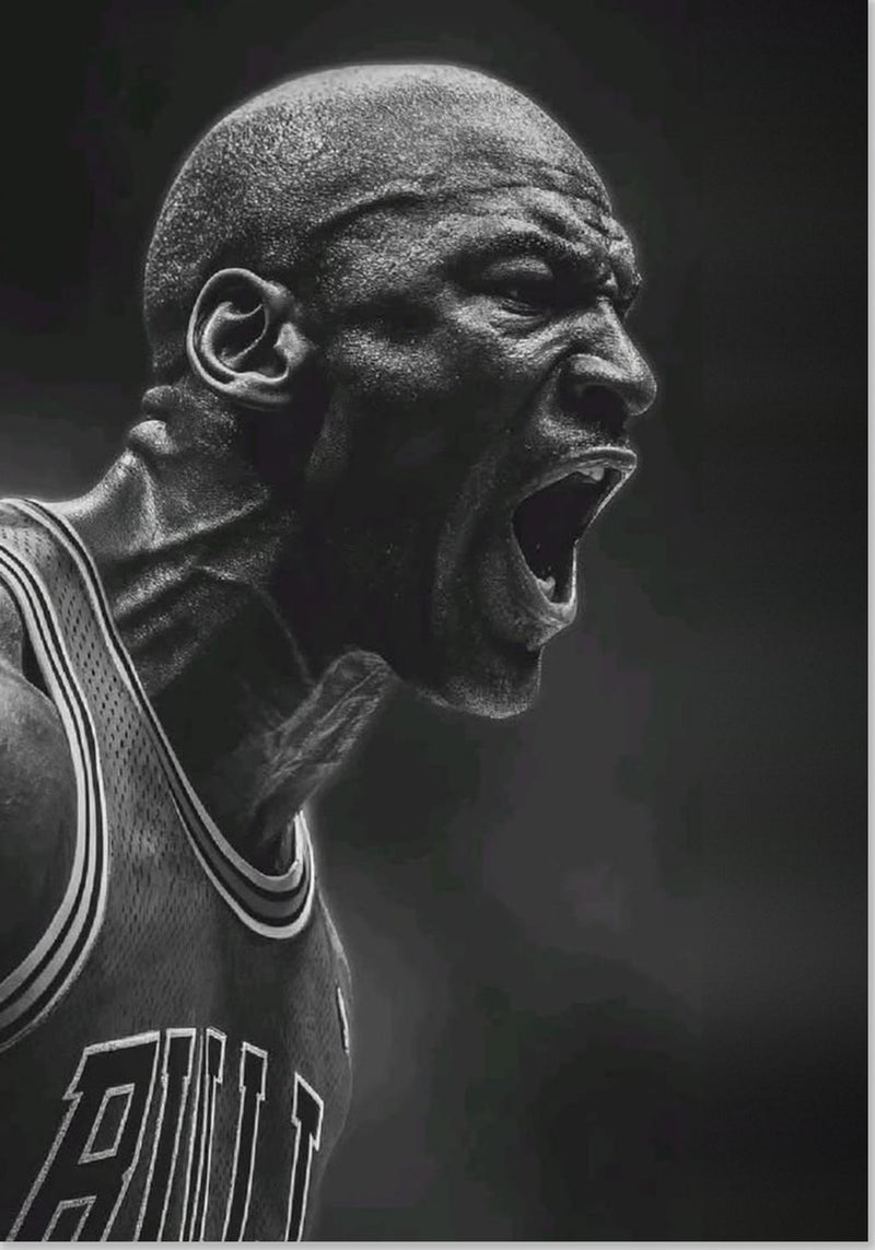 Michael Jordan Chicago Bulls