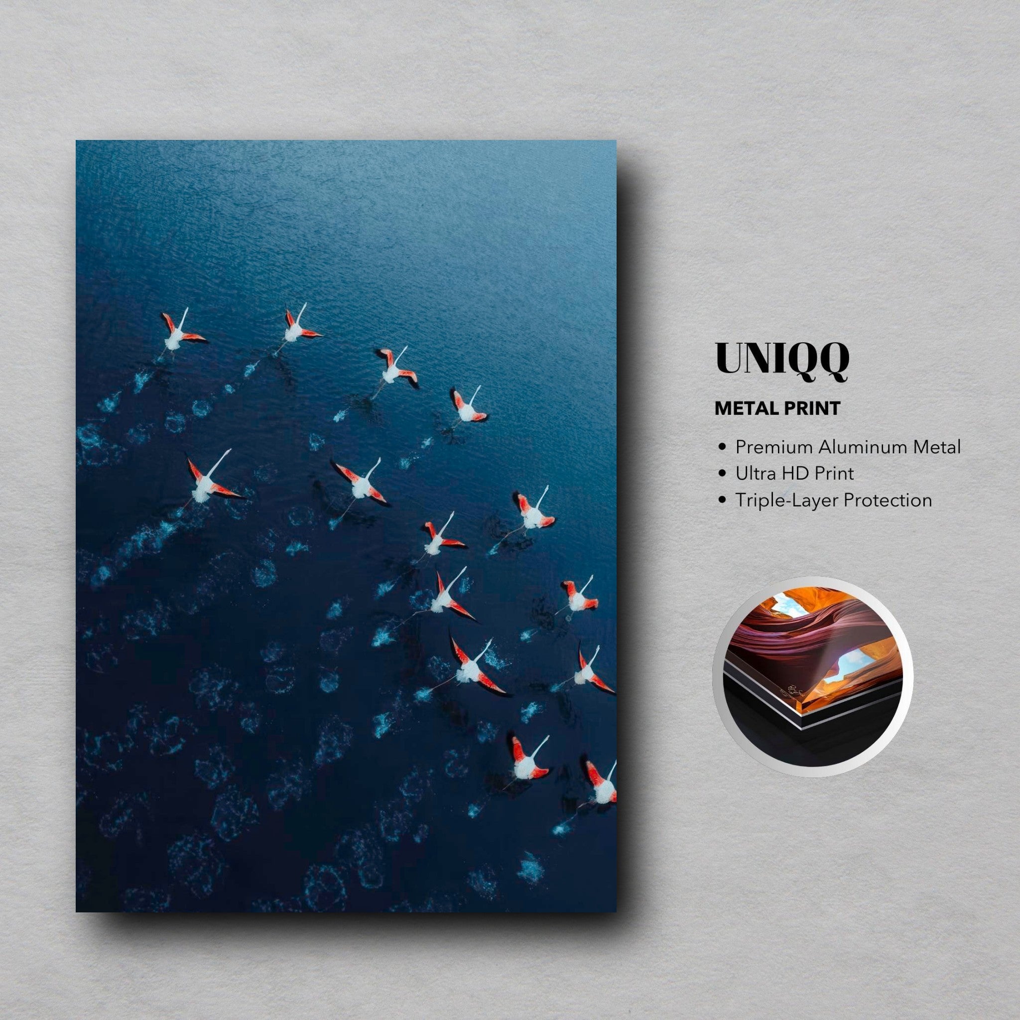 Stunning flamingos aerial view in vibrant colors captured on a premium metal print, showcasing nature's beauty.