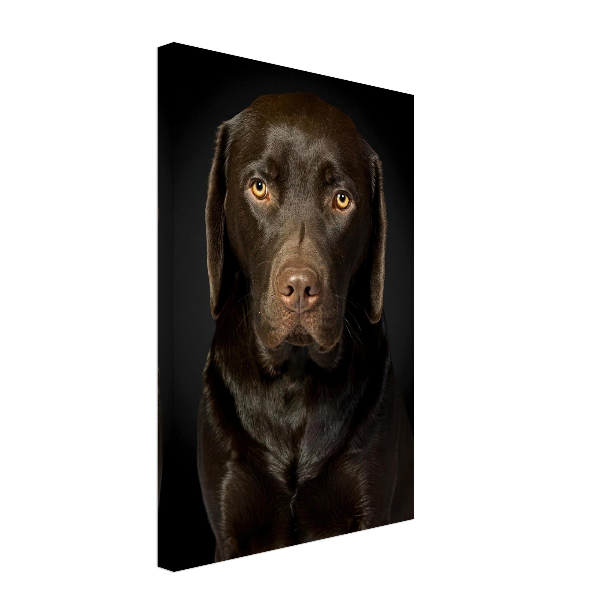 Chocolate Labrador portrait canvas print showcasing a loyal dog against a sleek black background.