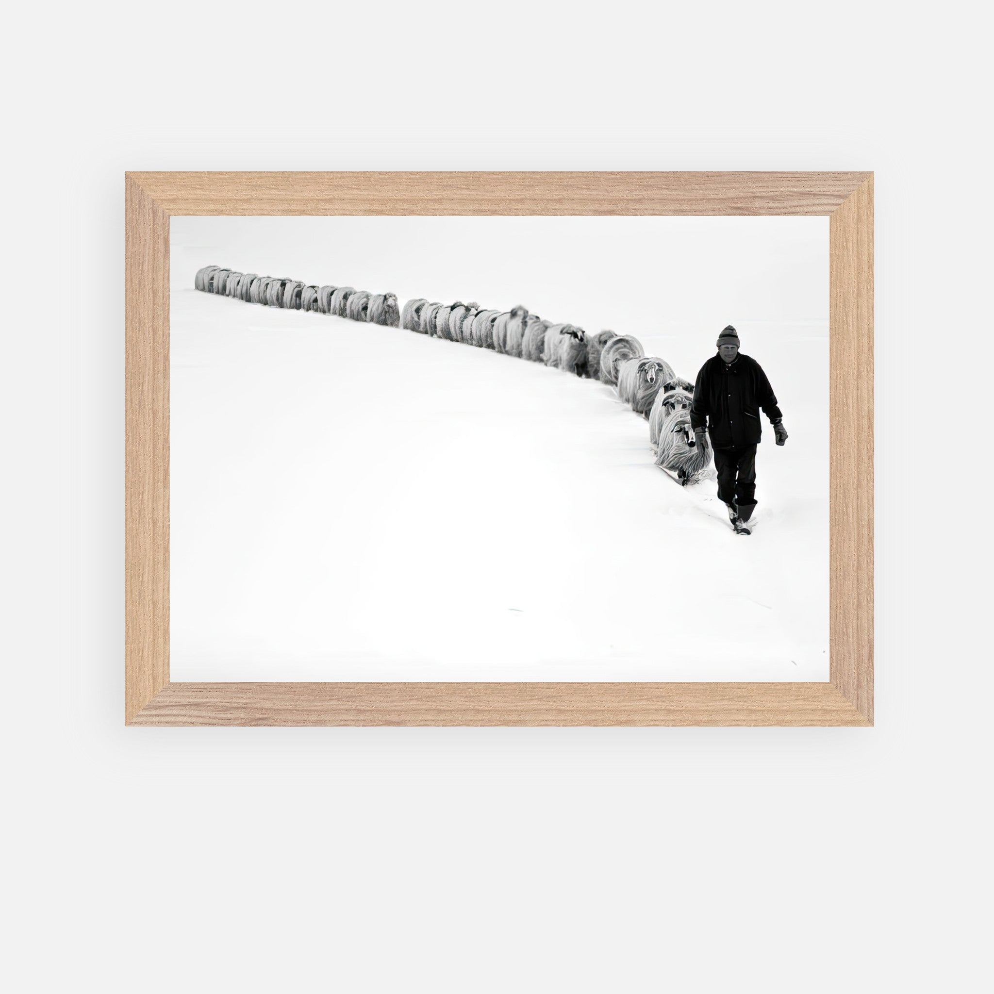 Vintage framed art of a shepherd guiding sheep through a snowy landscape in black and white.