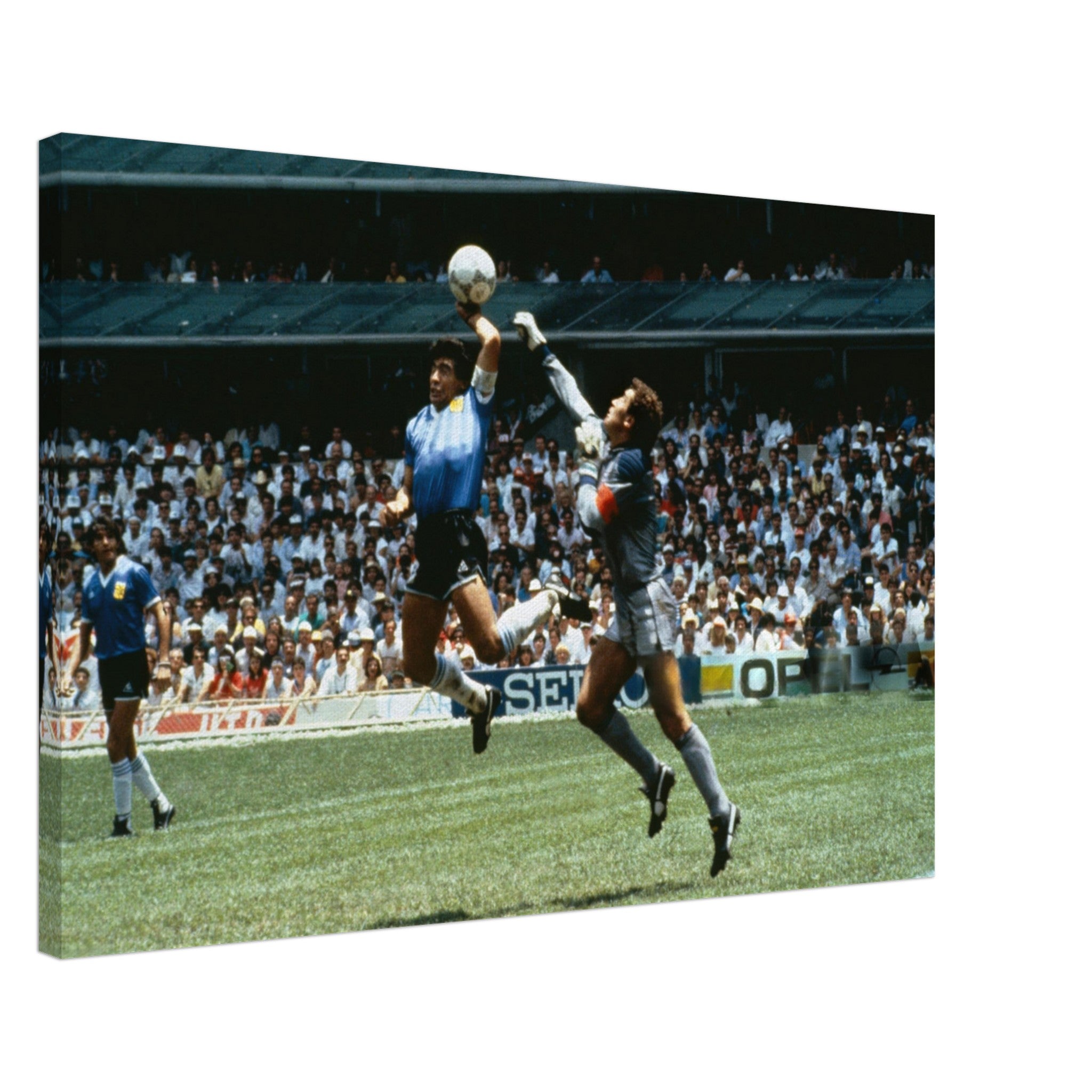 35ff2f5f-6202-4bdc-83fc-06806a52376a