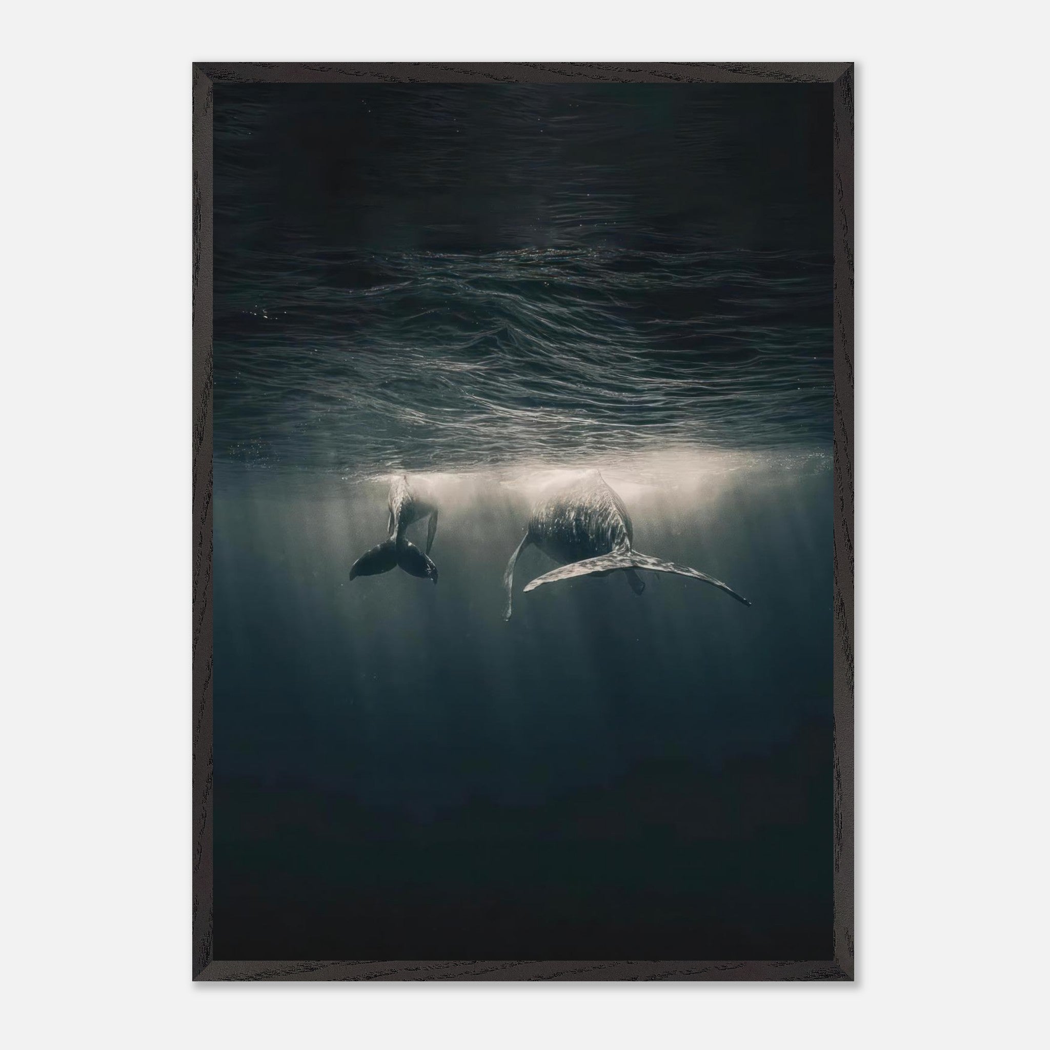 Fine art print of two majestic whales gliding underwater in the ocean, showcasing serene beauty and tranquility.