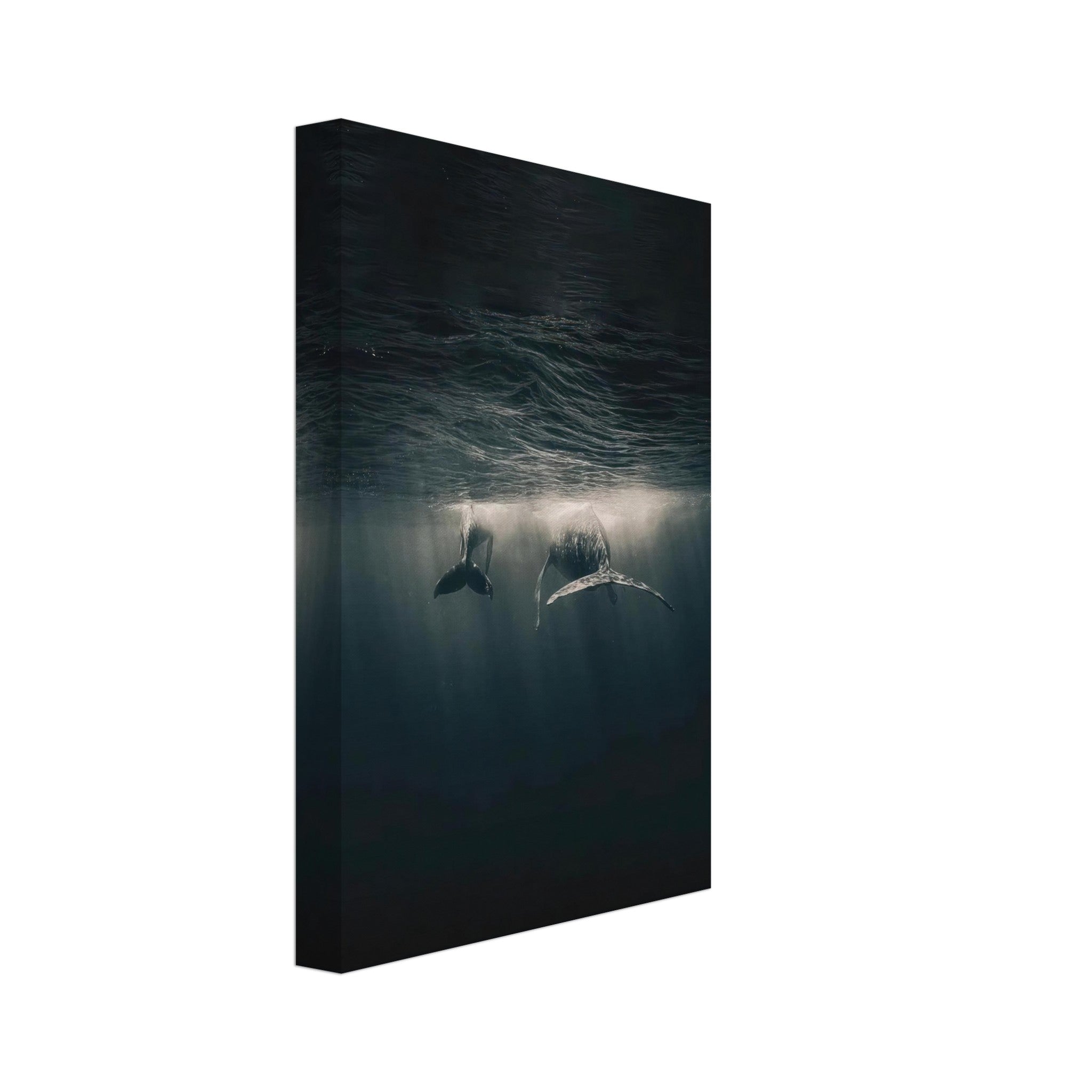 Whales gliding underwater in a serene ocean scene, captured in high-definition canvas print art.