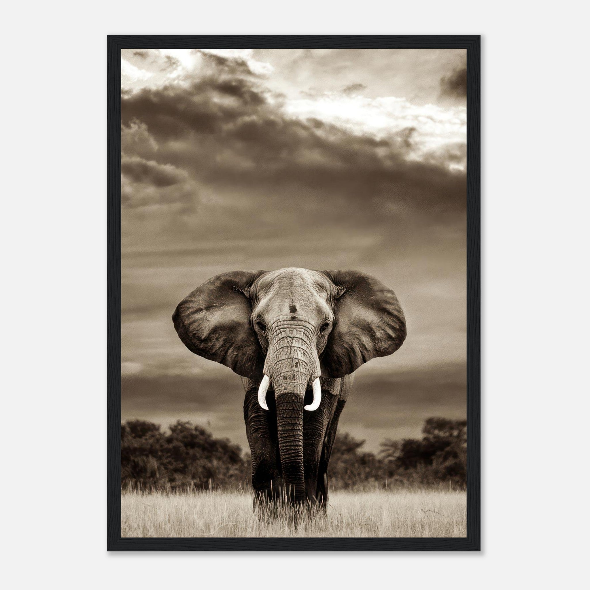 Black-and-white elephant portrait framed print against a dramatic sky, symbolizing strength and elegance.