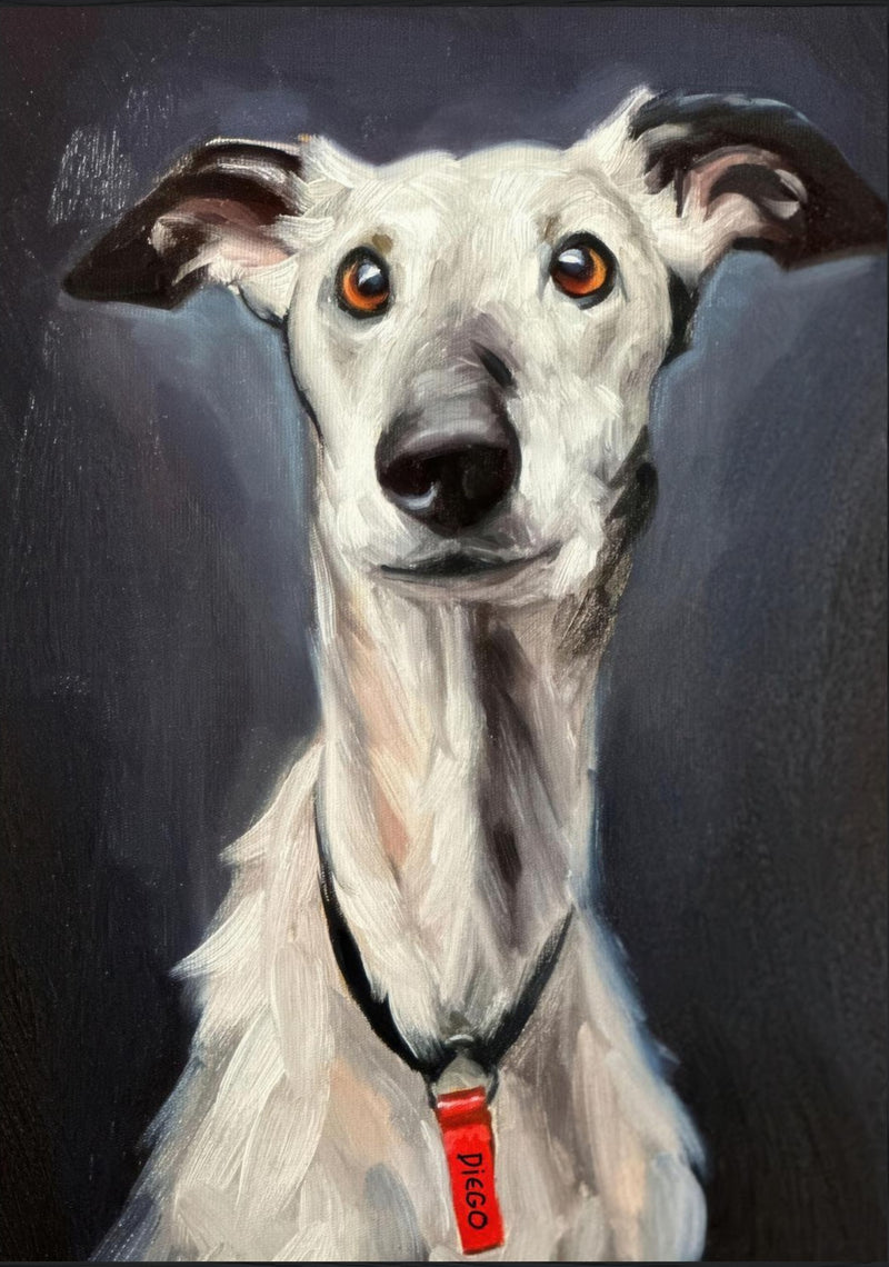 Greyhound hundemaleri