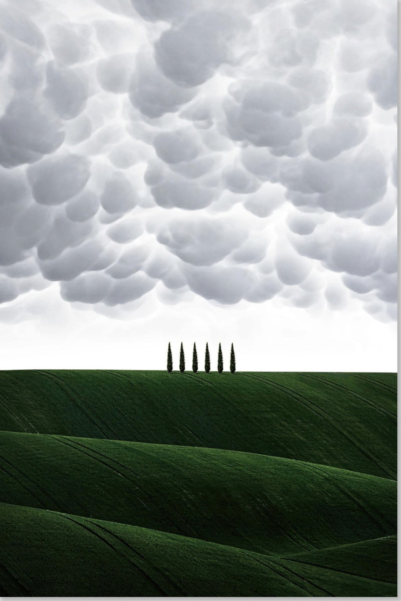 Toscana - Italia