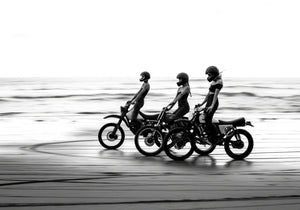 Rebeldes en la costa