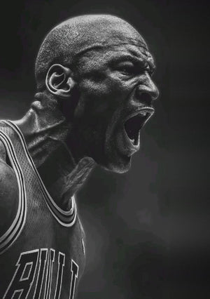 Michael Jordan Chicago Bulls