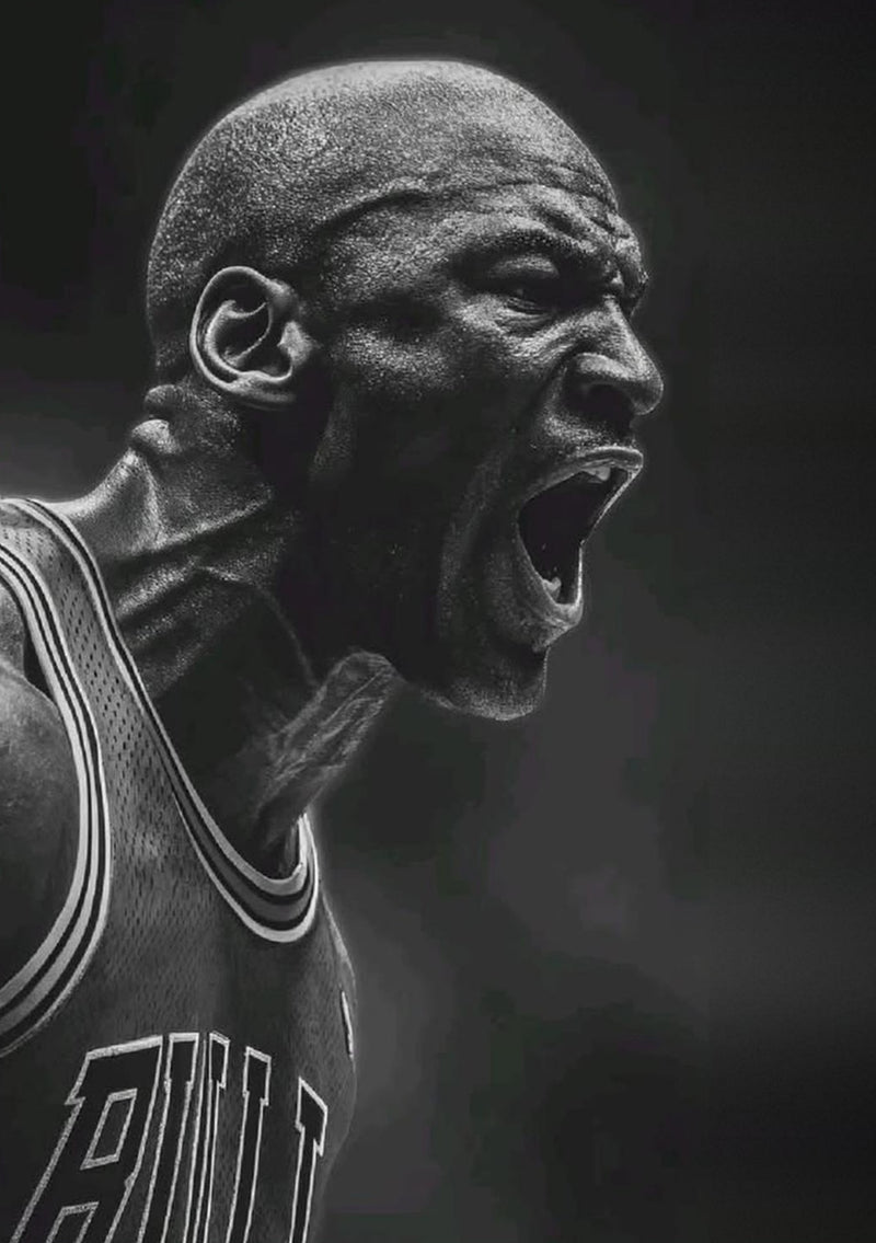 Michael Jordan Chicago Bulls