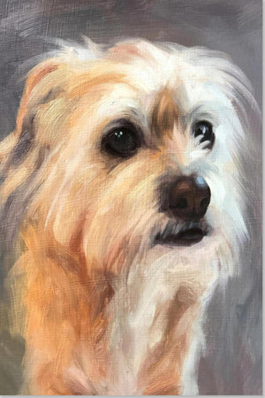 Dipinto di Cane Terrier