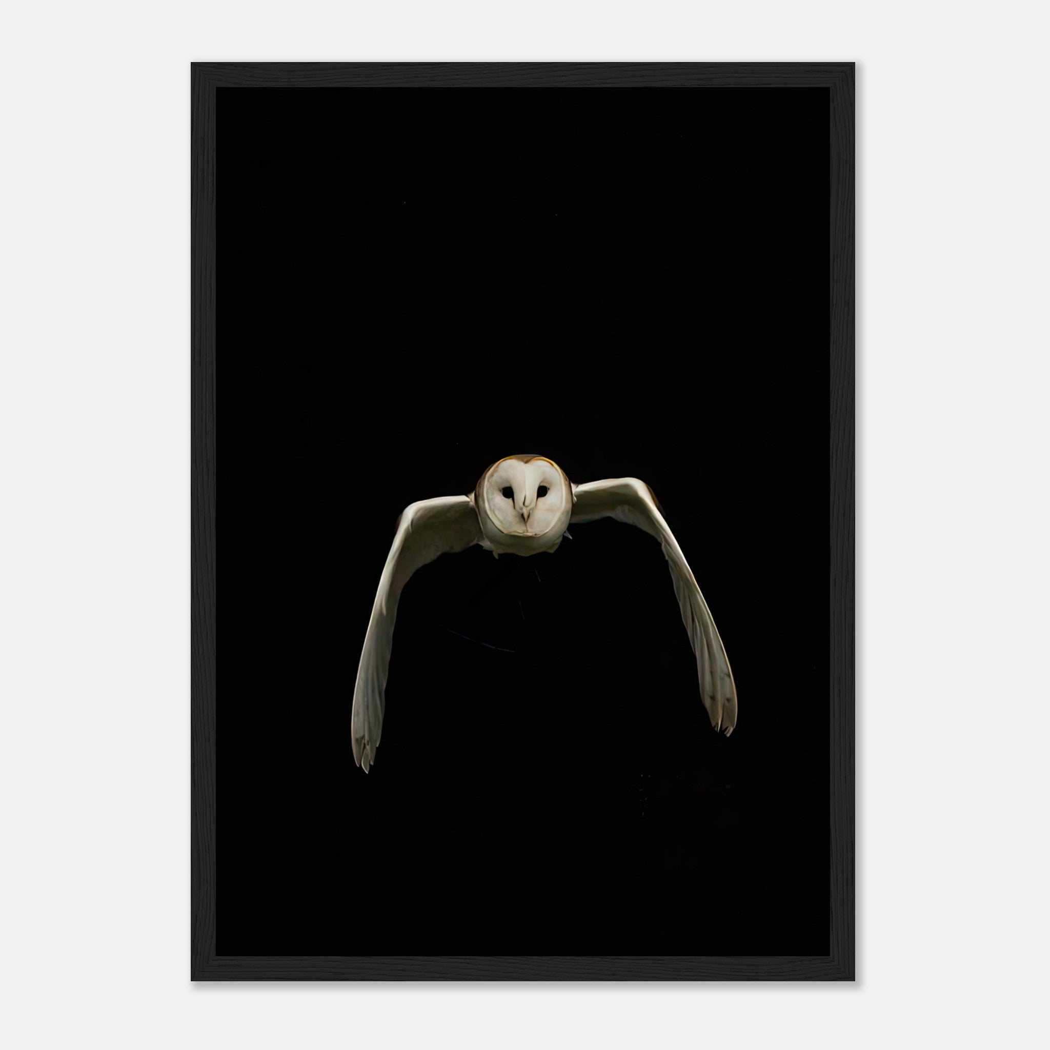 Owl framed print featuring a barn owl in flight against a black background, adding elegance to modern decor.