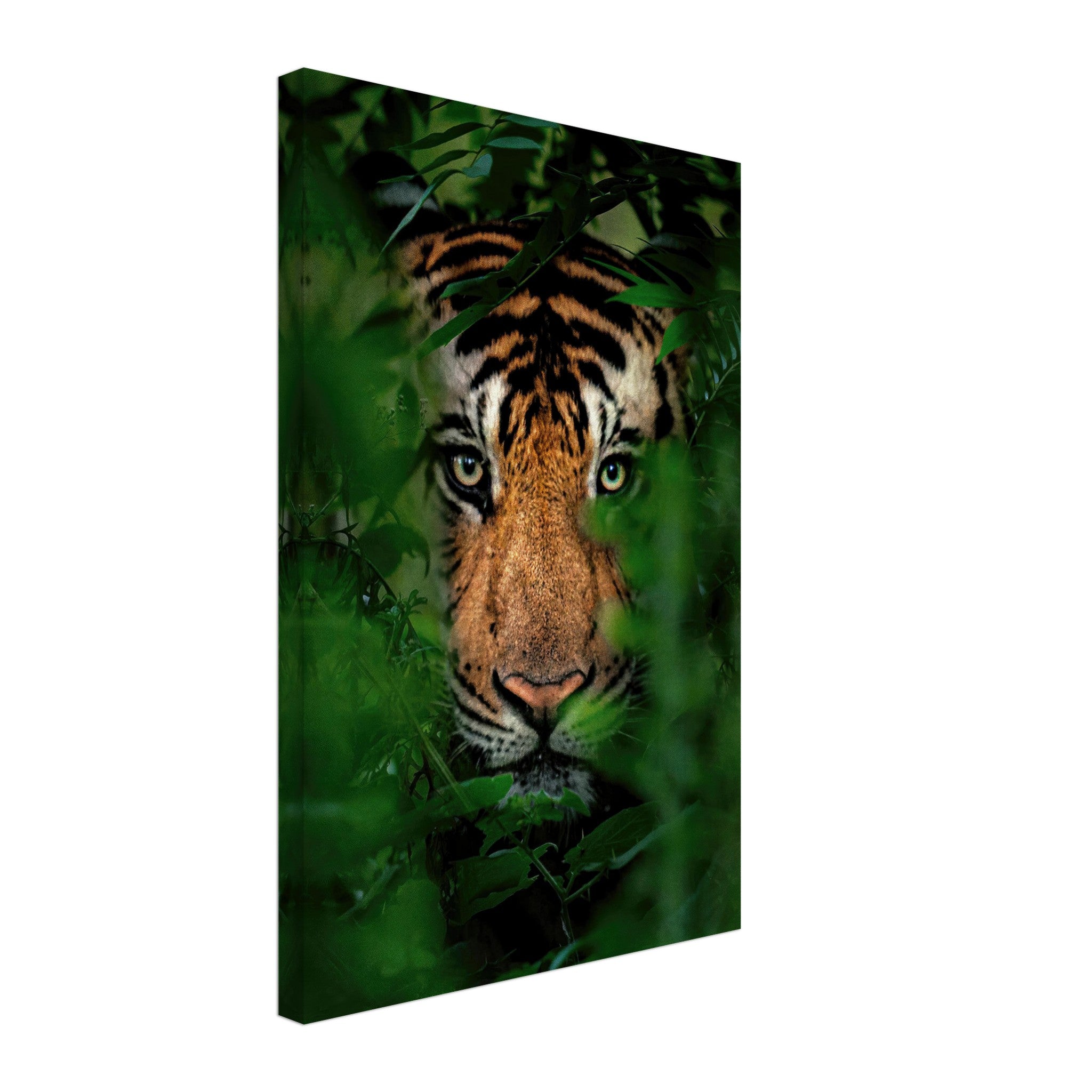 Majestic tiger peering through lush green foliage on a vibrant canvas, adding wild elegance to any space.