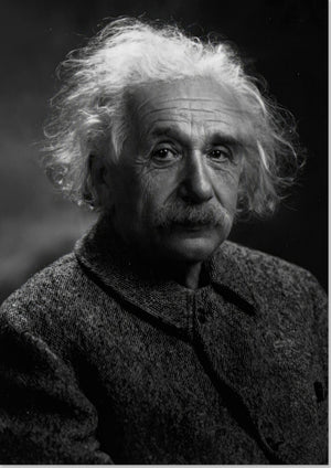 Albert Einstein Portrait