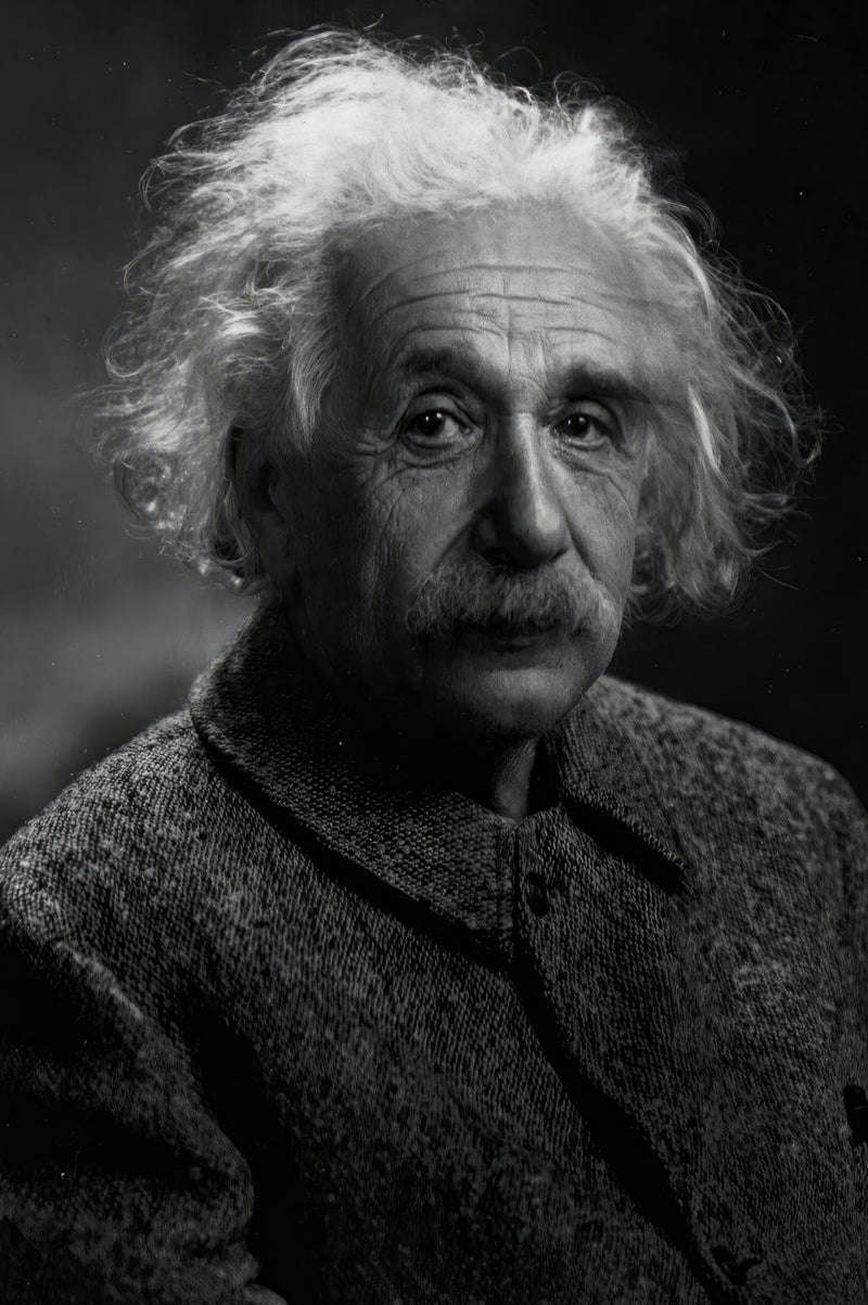 Albert Einstein Portrait