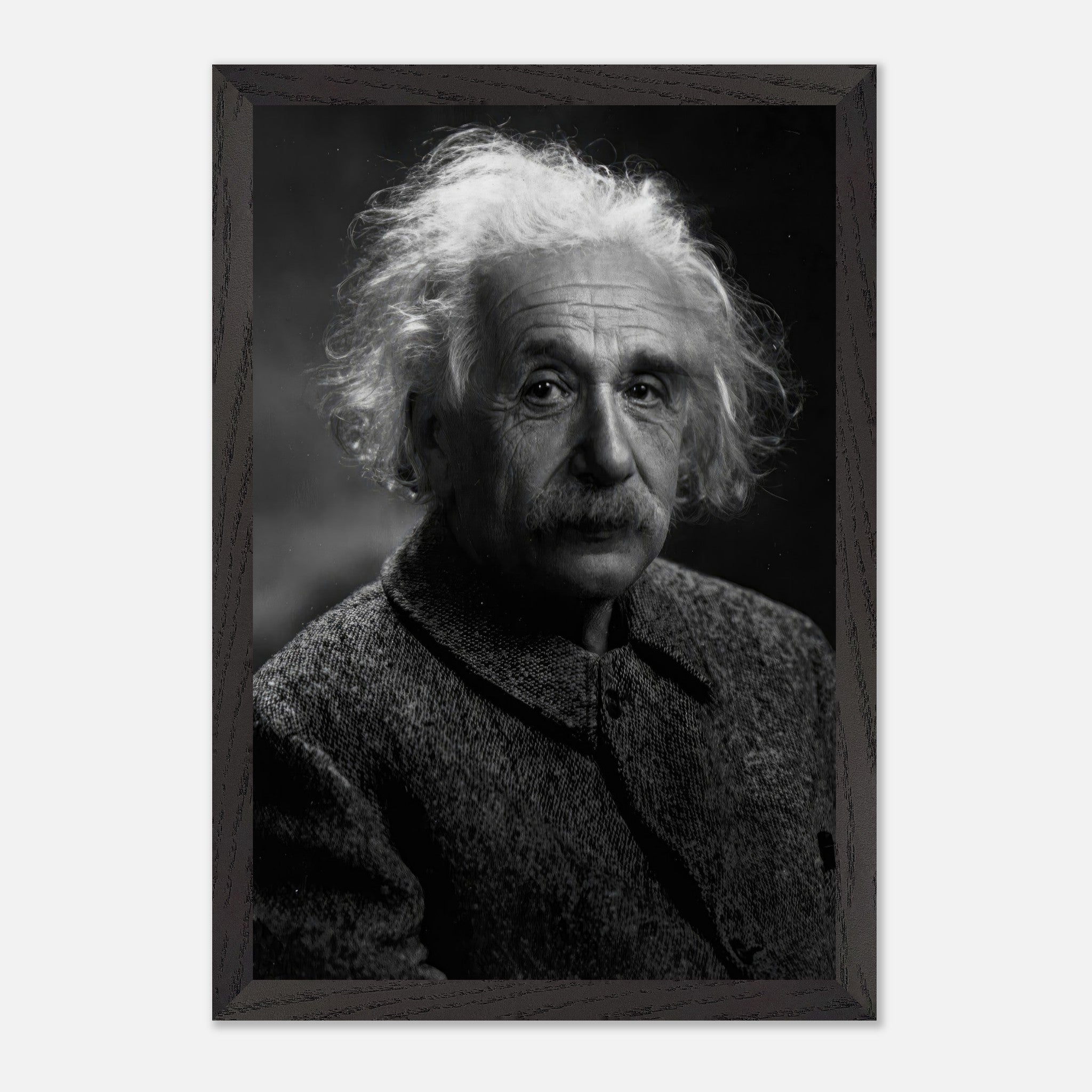 Albert Einstein portrait in black-and-white, museum-quality fine art print showcasing his iconic features.