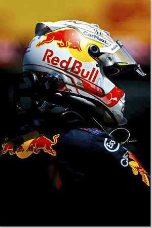 Foto di Max Verstappen