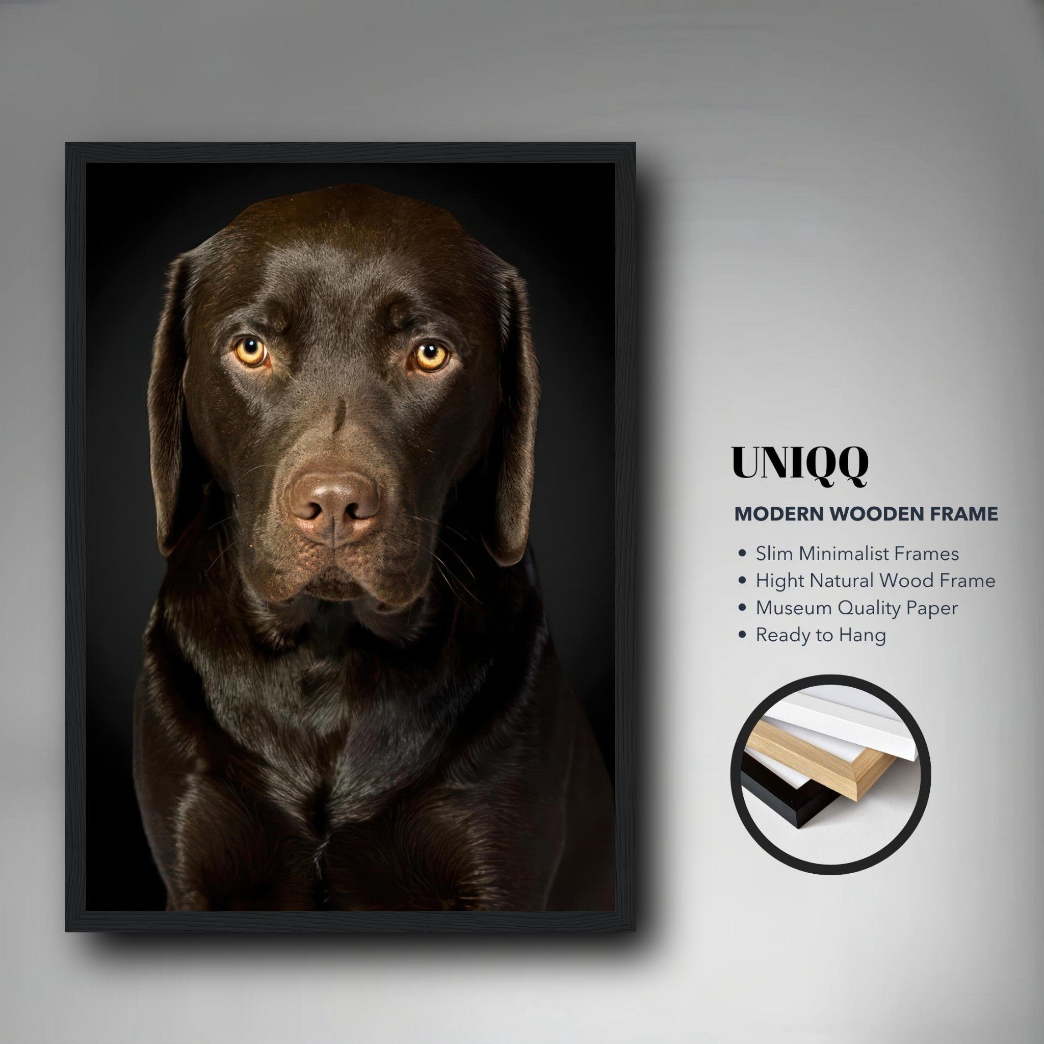 Chocolate Labrador portrait framed print with amber eyes and black background, showcasing its rich brown coat.