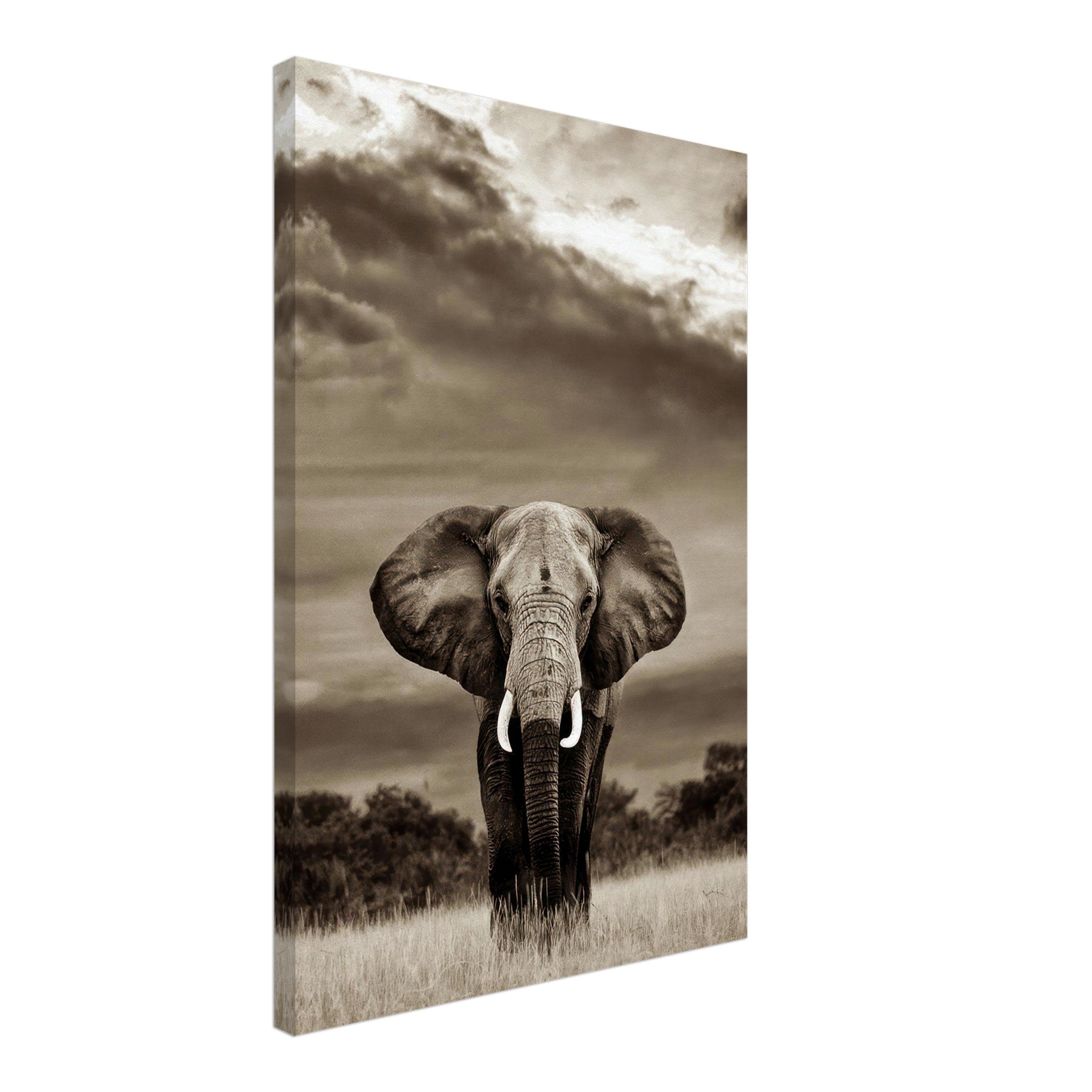 Stunning black-and-white canvas print of a majestic elephant in a natural setting.