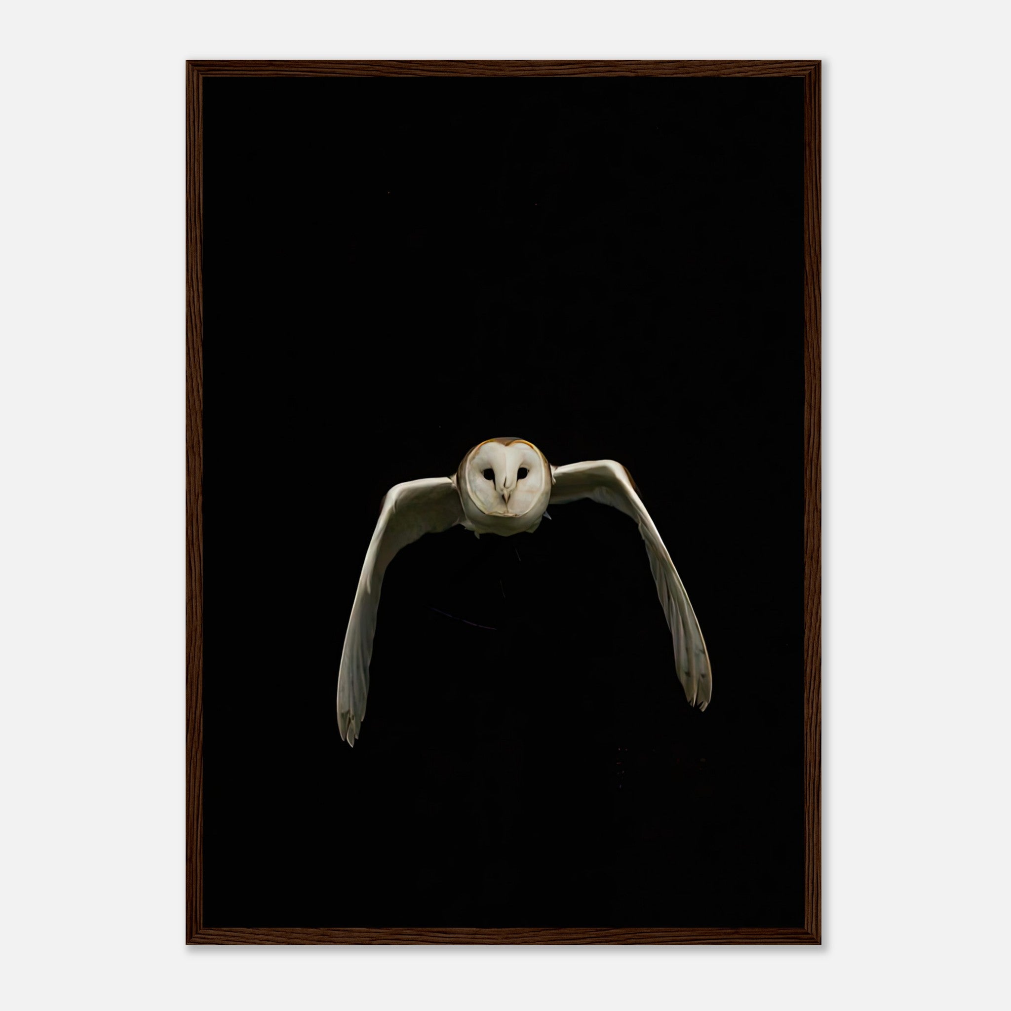 Owl framed print featuring a barn owl in flight against a dramatic black background for modern decor.