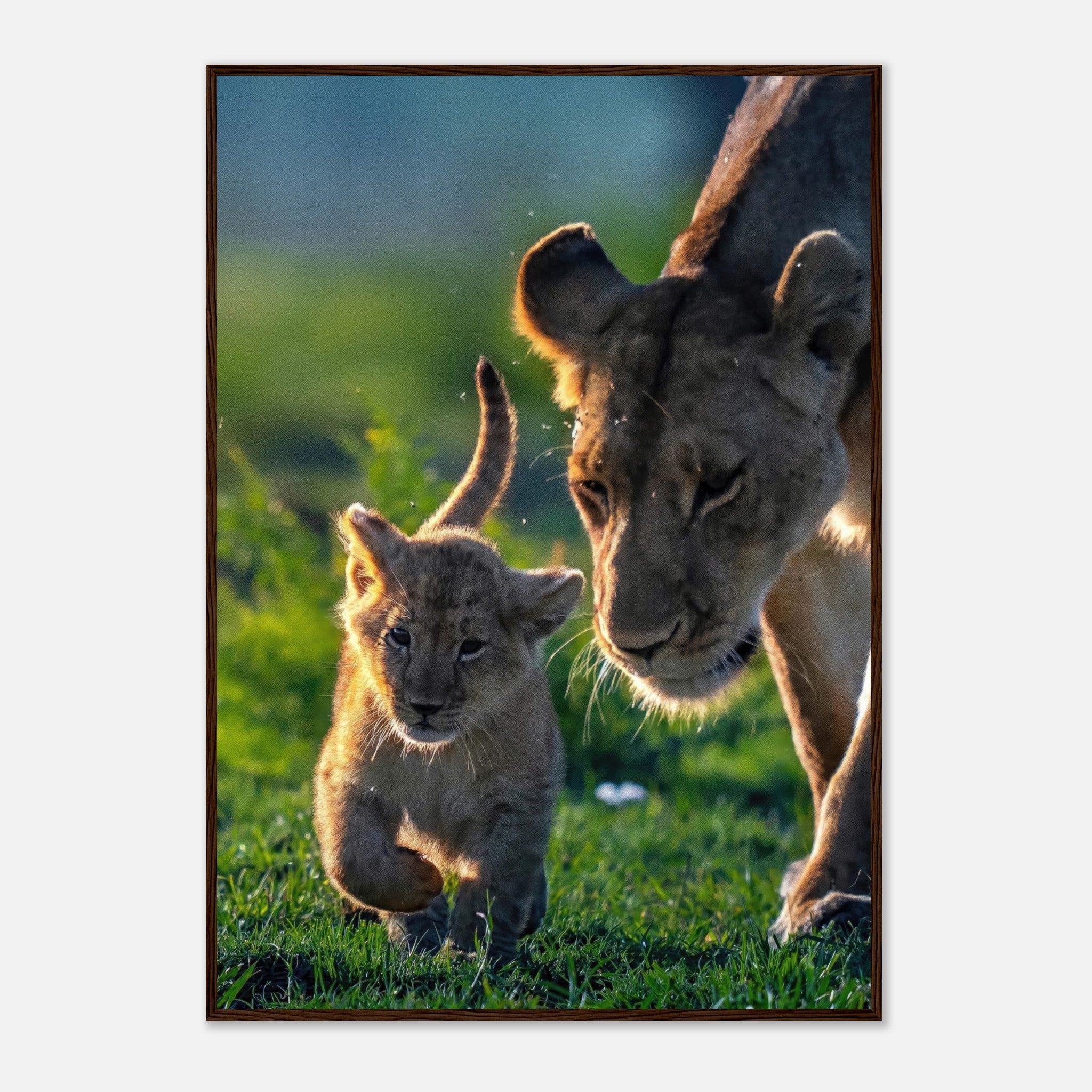 Protective Lion Mother framed print featuring a lioness and her cub in a vibrant outdoor setting.