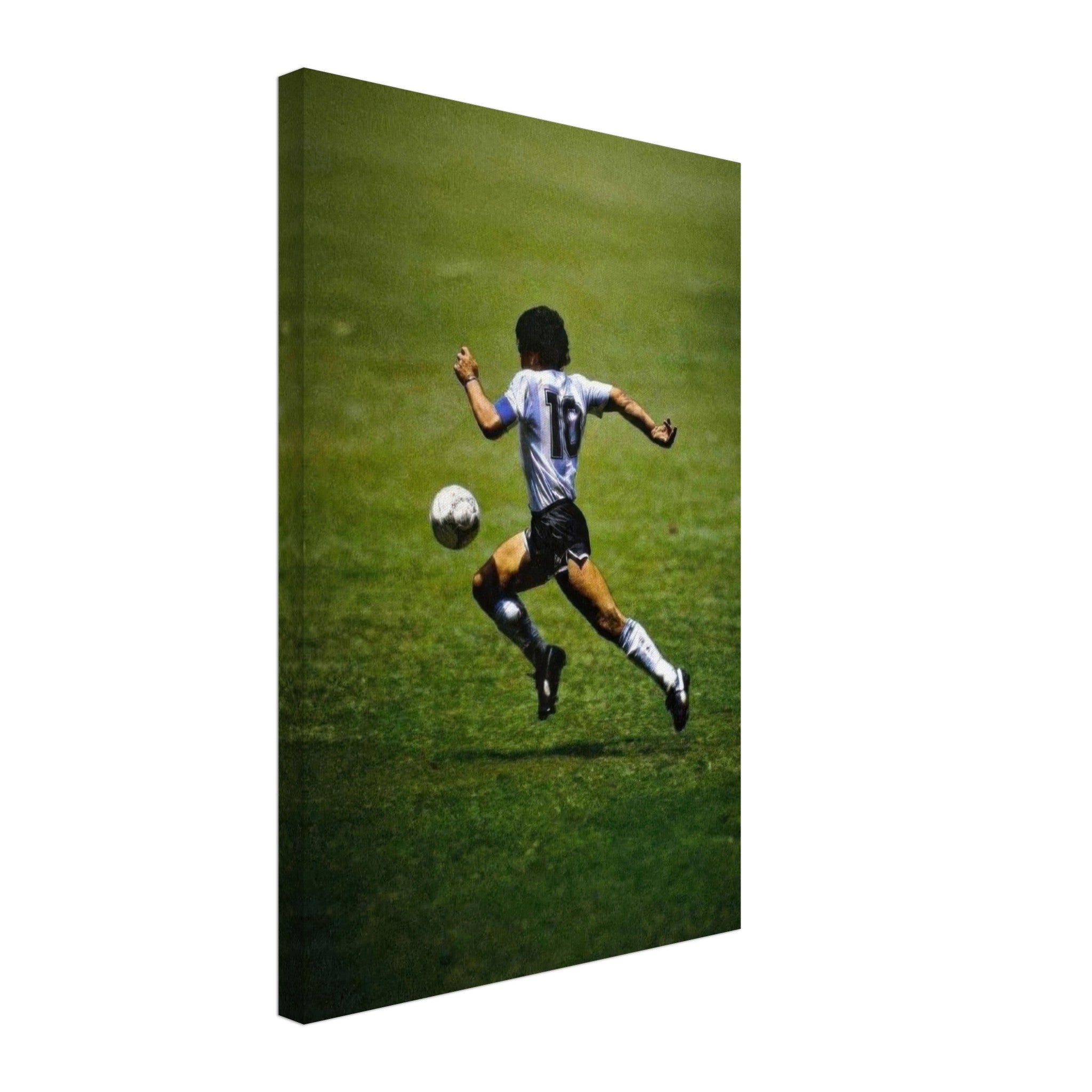 48e86207-e51a-42fc-ae57-410c0fe41147