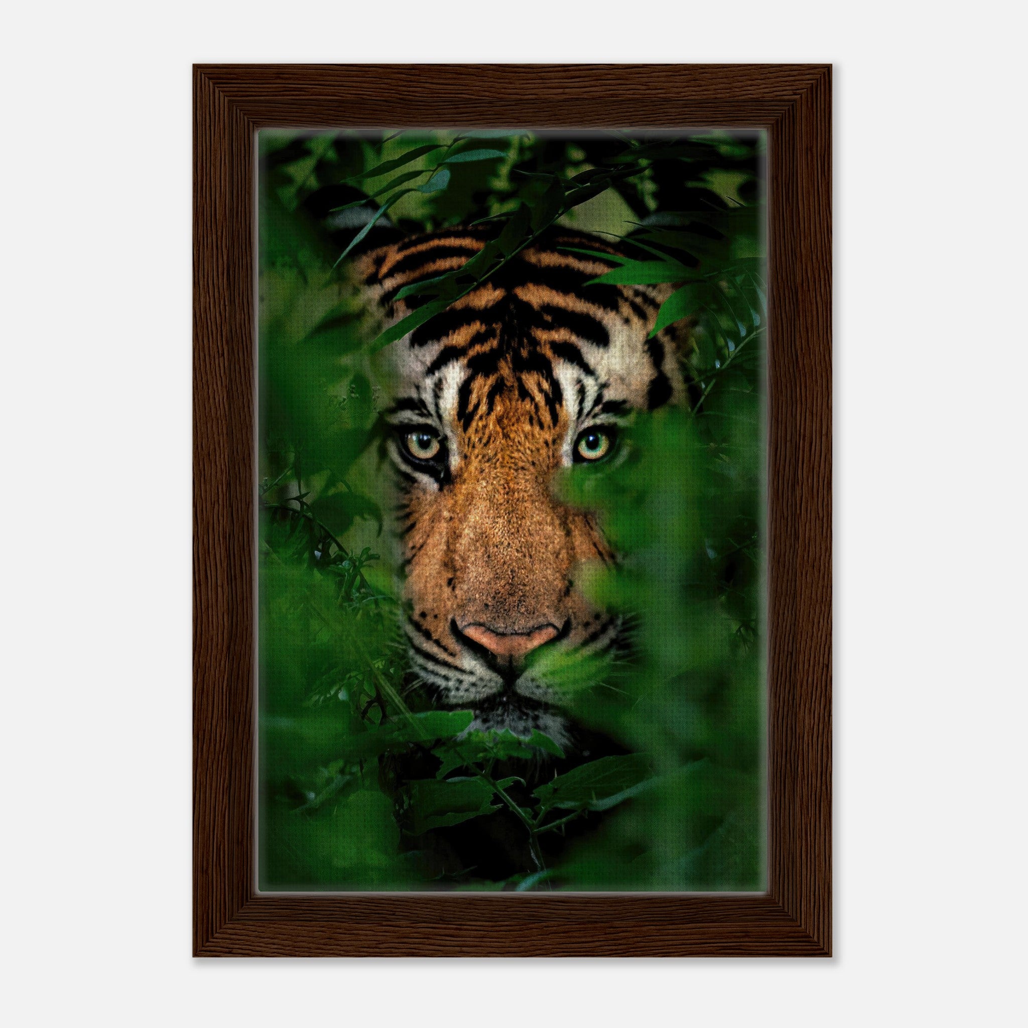 Framed canvas print of a tiger peering through lush jungle foliage, highlighting its intense gaze.