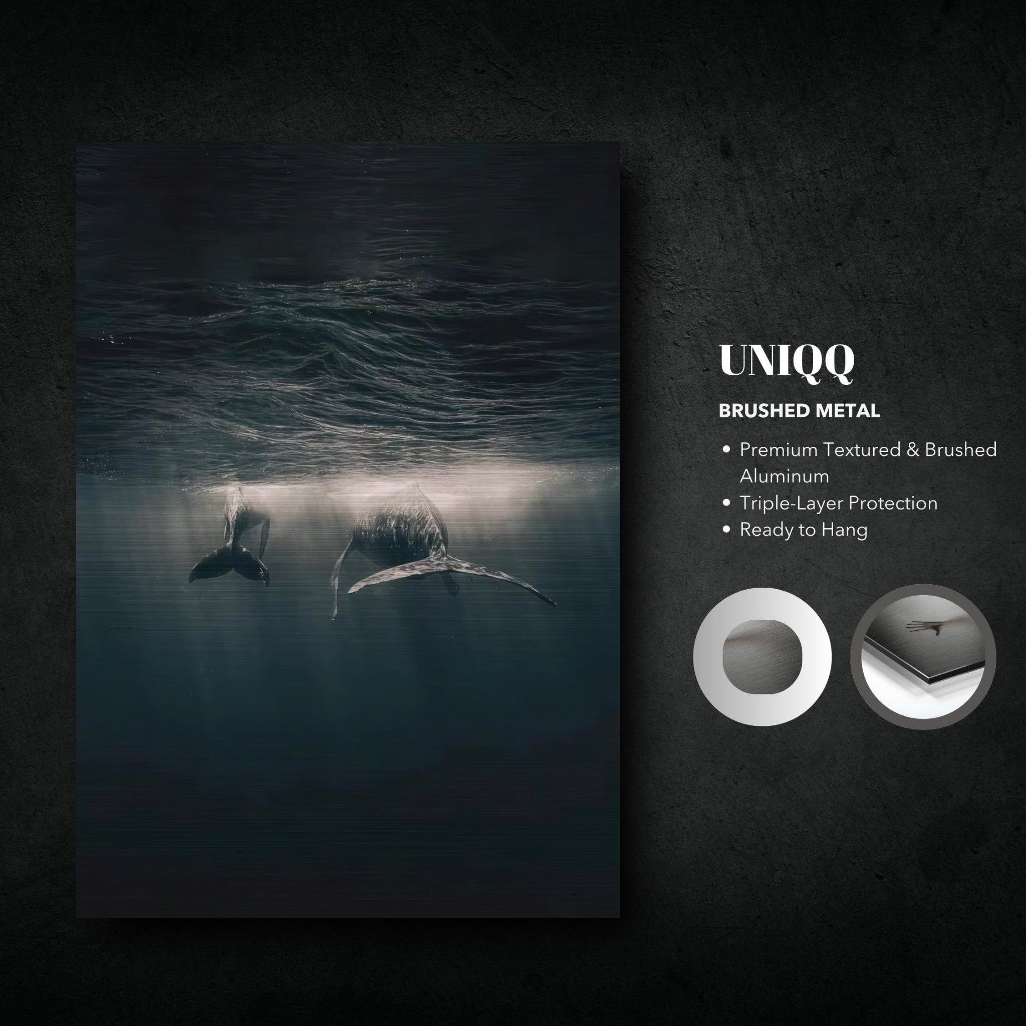 Whales swimming underwater in a brushed metal print, showcasing serene ocean beauty and modern design.