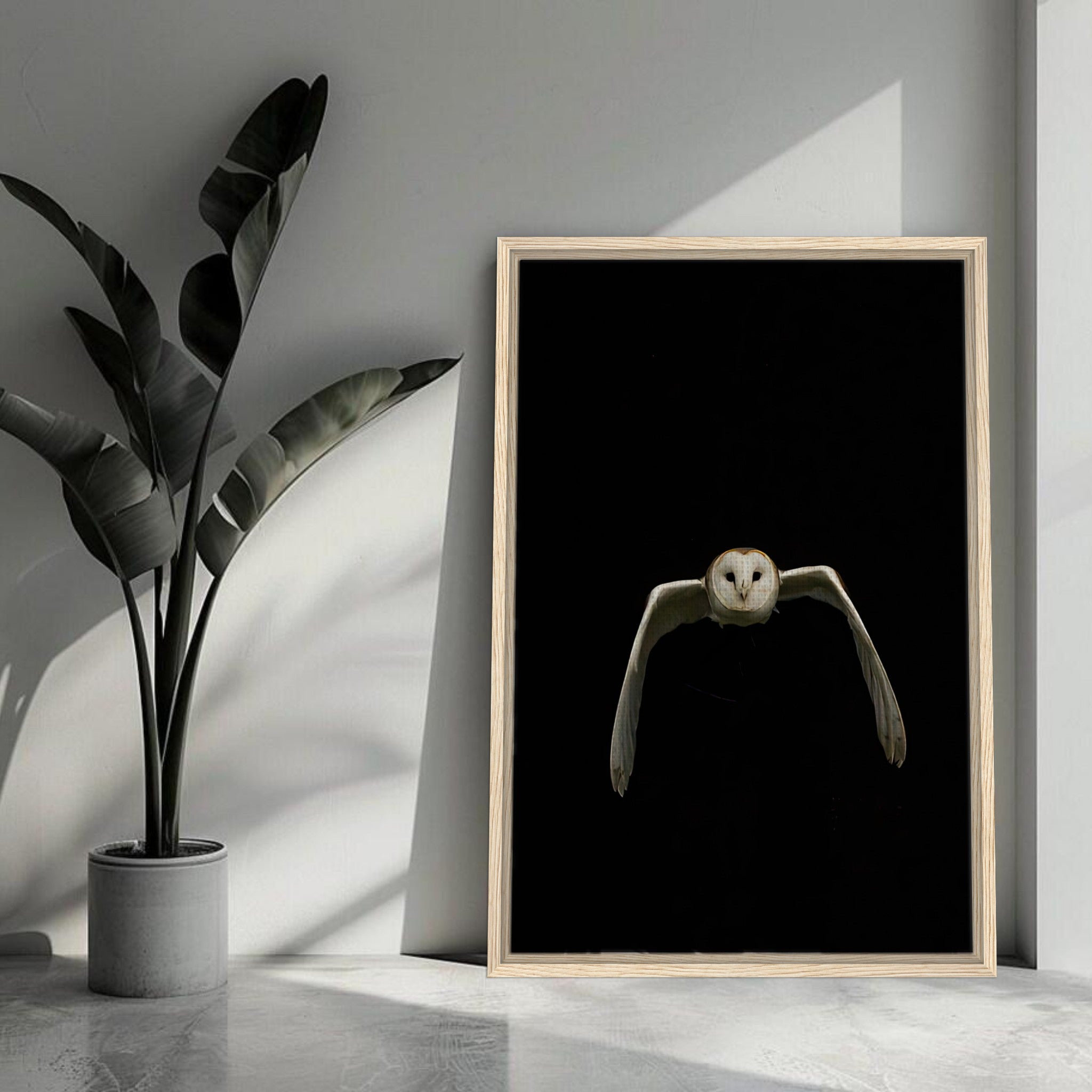 Owl Framed Canvas artwork featuring a majestic owl in flight against a dramatic black background.