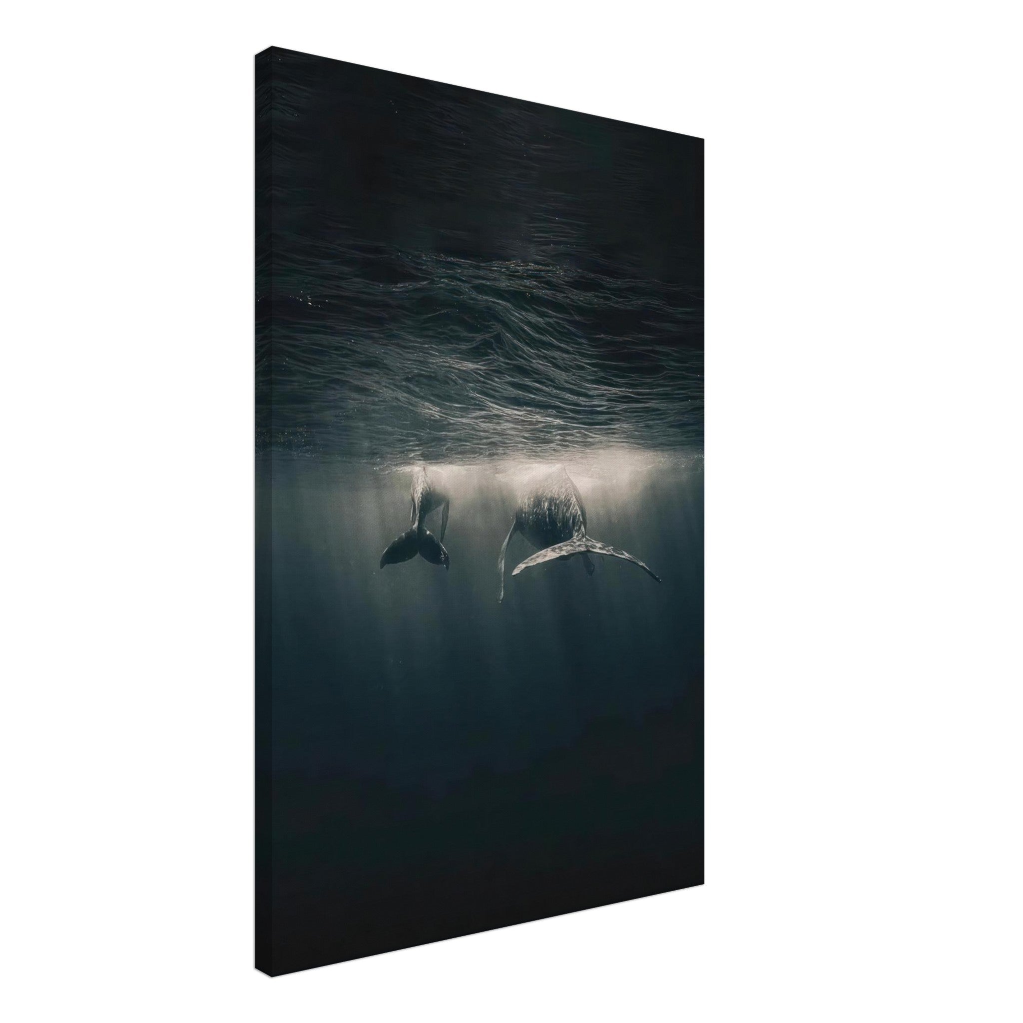 Majestic whales gliding underwater, illuminated by soft rays of light, captured in a stunning canvas print.