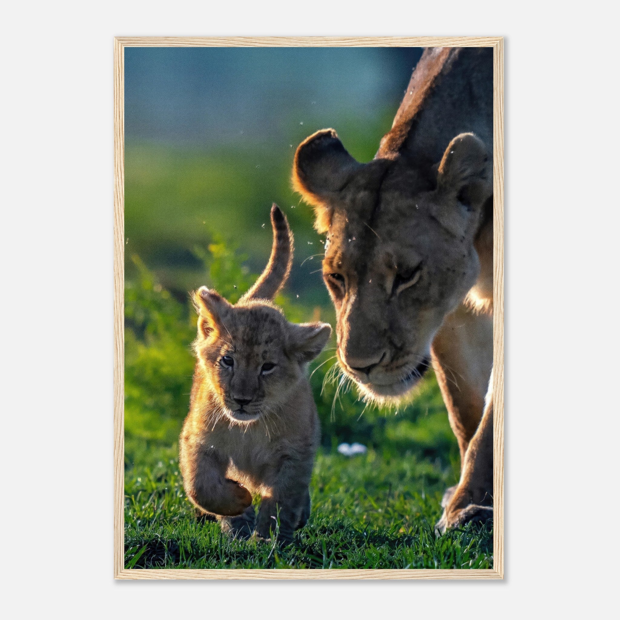 Protective Lion Mother framed print featuring a lioness with her cub in a lush green environment.