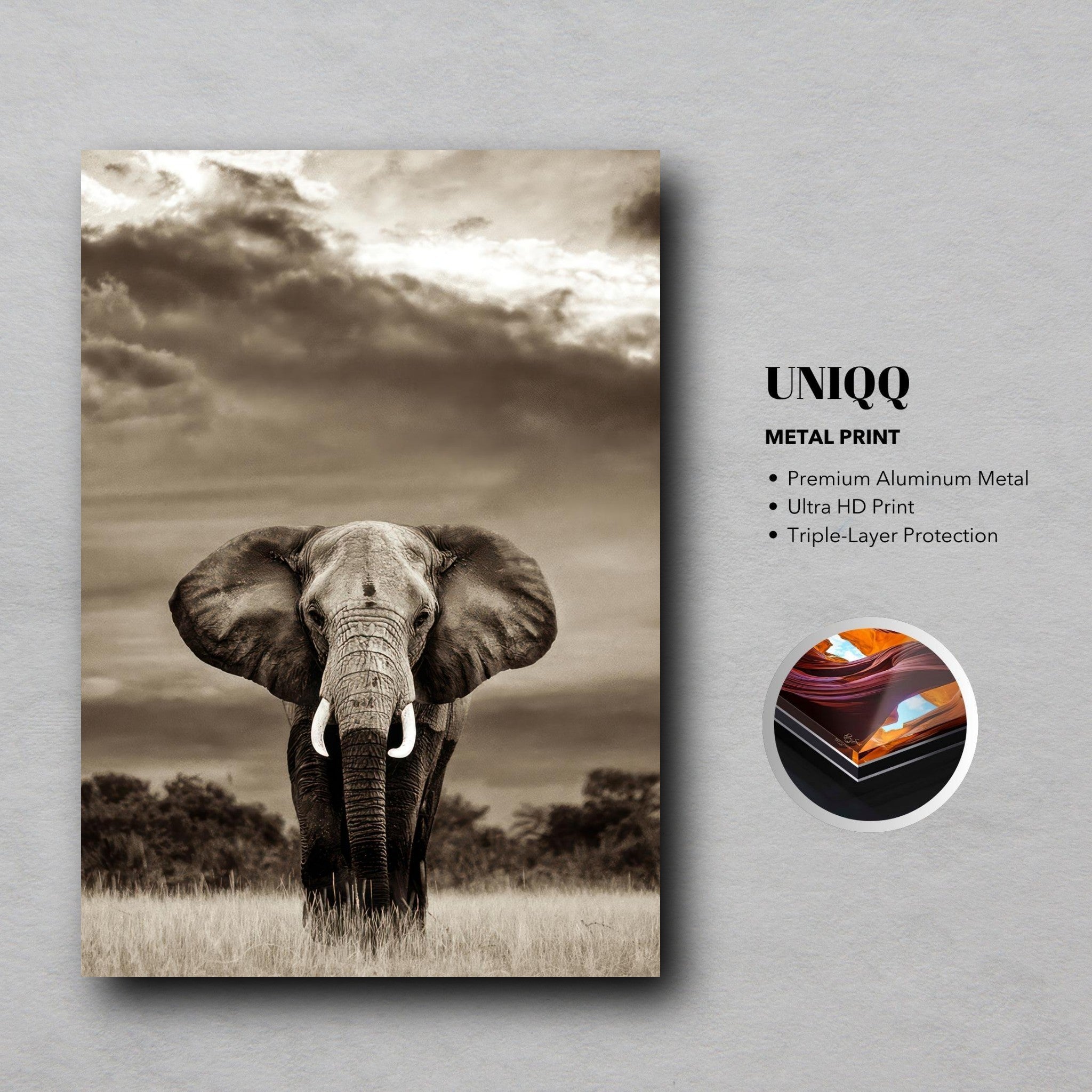 Black-and-white metal print of a majestic elephant in front of a dramatic sky, showcasing intricate details.