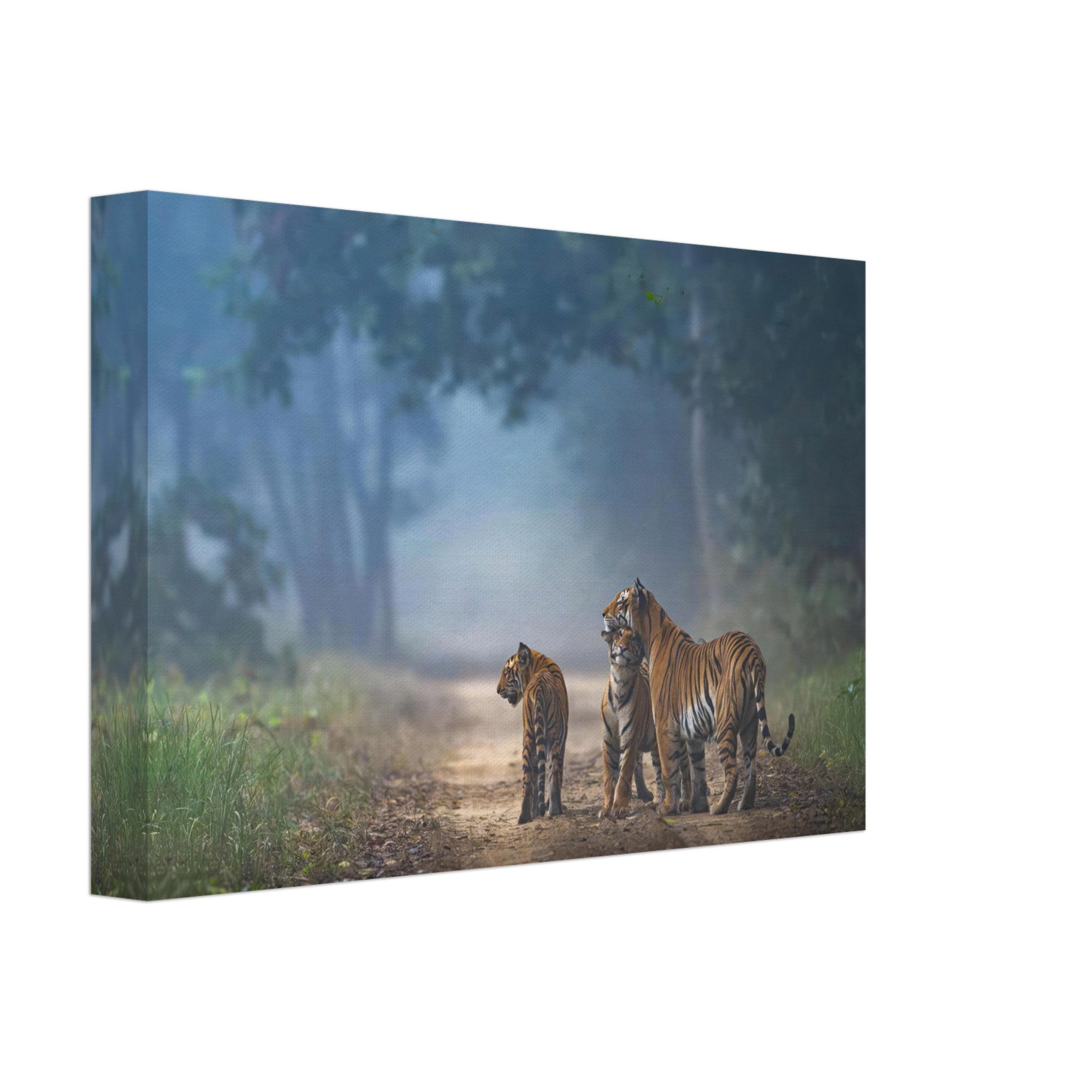 The Bond of Tigers Canvas featuring a tiger family walking through a misty forest path, showcasing nature's beauty and unity.