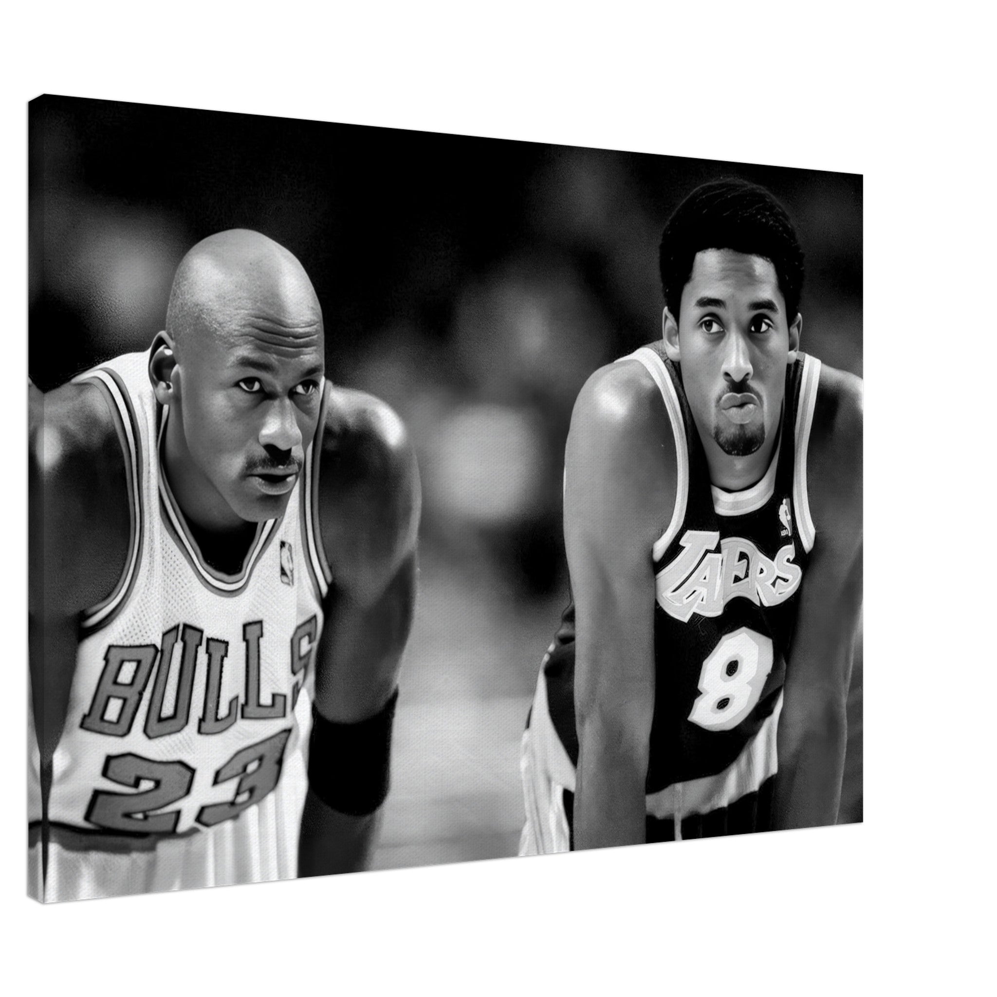 4c991676-db8d-46fb-9c6b-59b61258612a