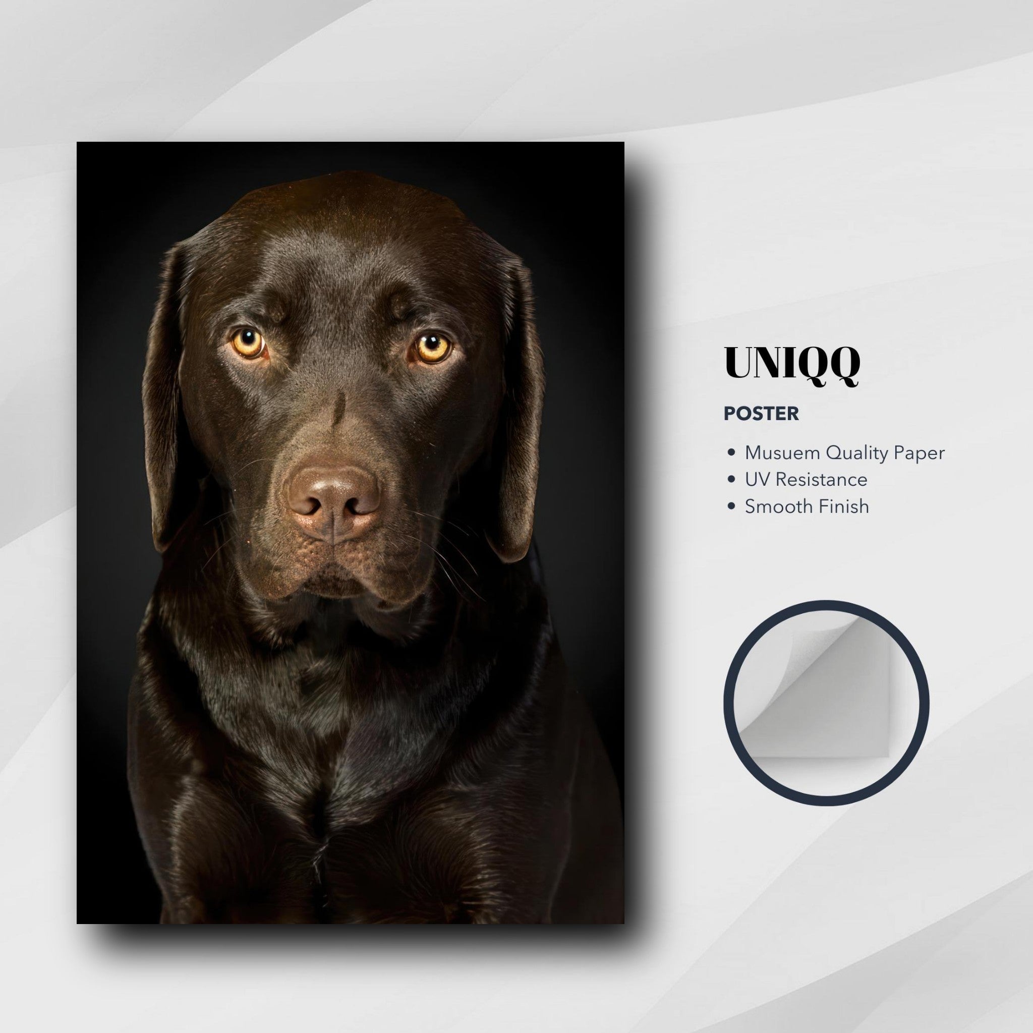 Stunning Chocolate Labrador portrait poster featuring soulful gaze on high-quality UV resistant paper.