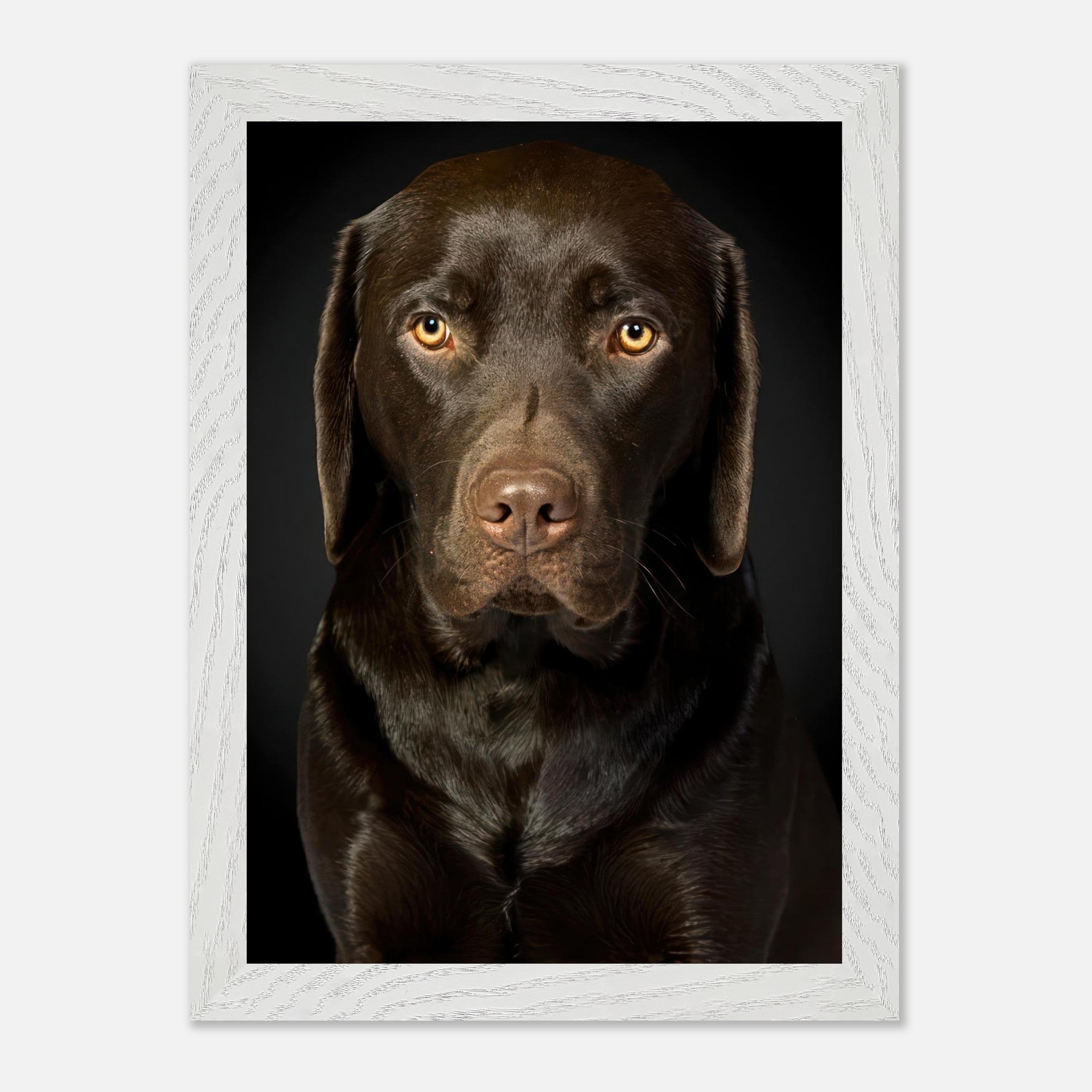 Chocolate Labrador portrait in vintage frame, showcasing the dog's soulful gaze and rich coat.