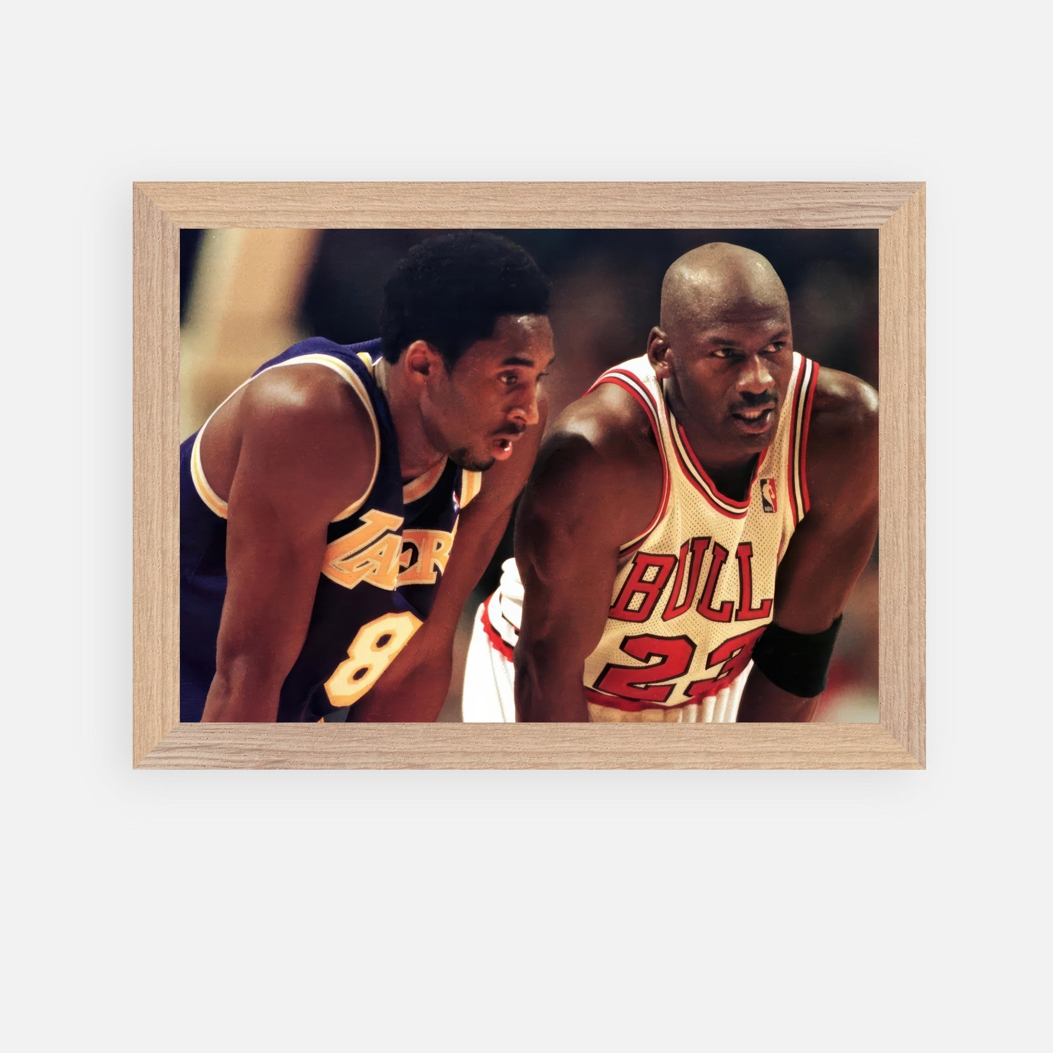 50259450-56d1-45a9-a204-d8903a1d634d