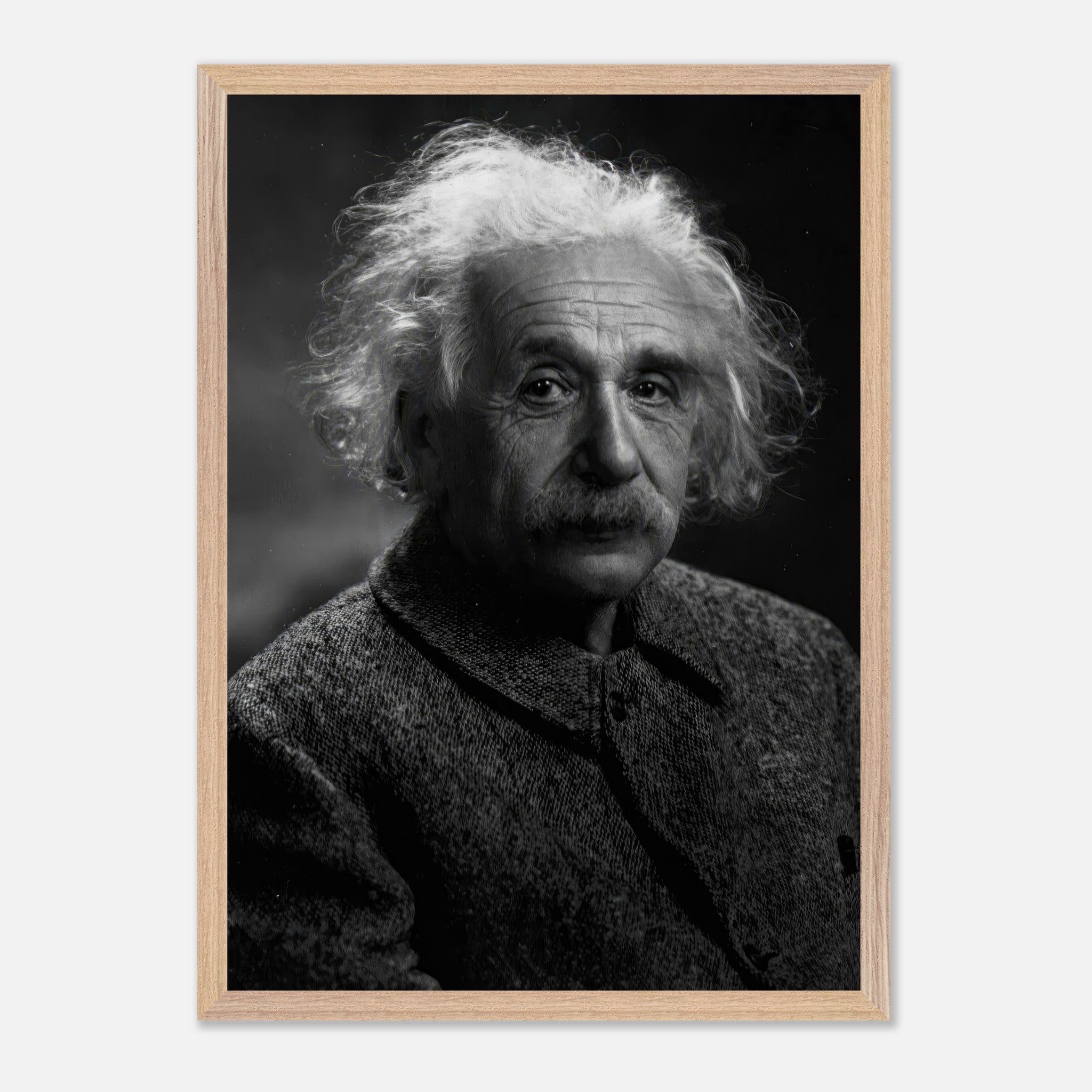 Museum-quality black-and-white portrait of Albert Einstein, showcasing his expressive gaze and iconic features.