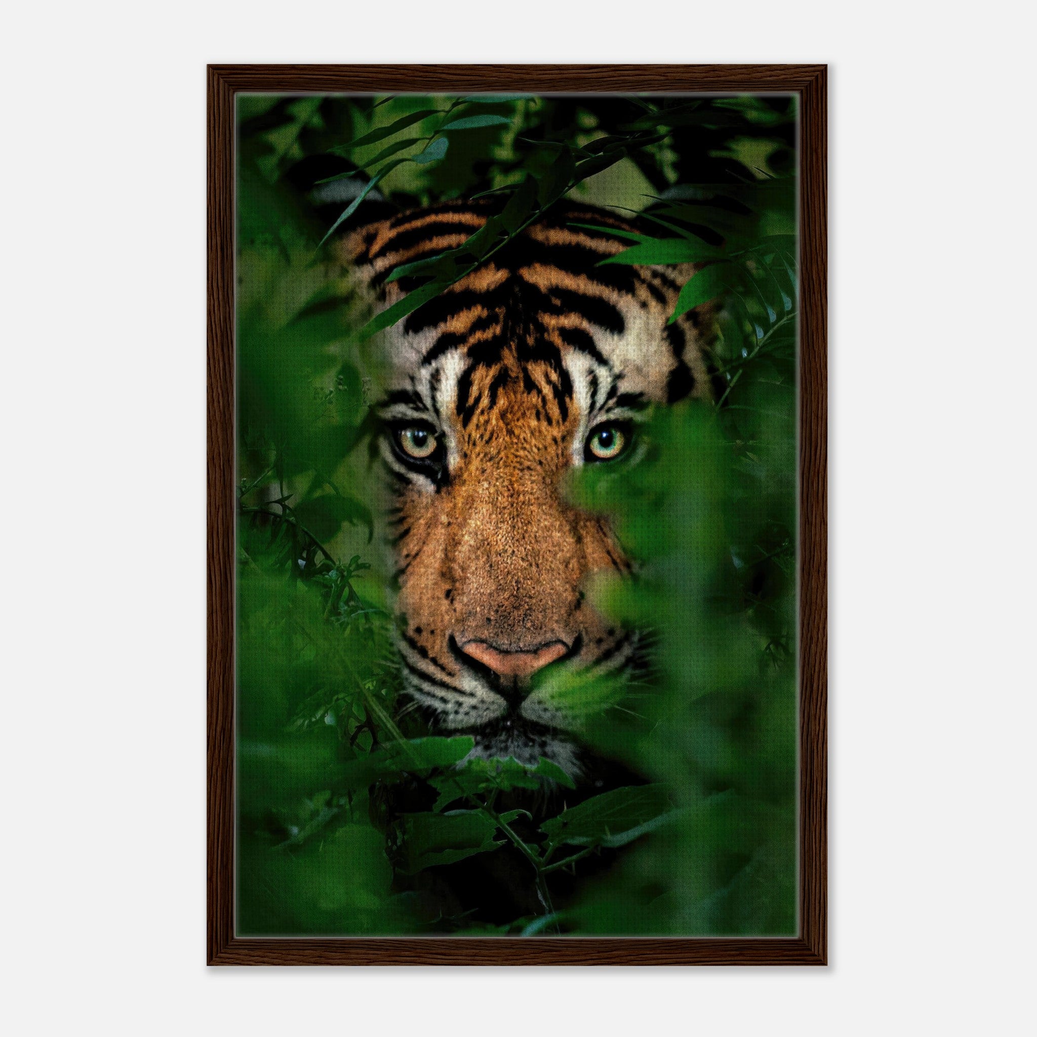Tiger Through Jungle Framed Canvas Print showcasing a tiger's intense gaze among lush green foliage.