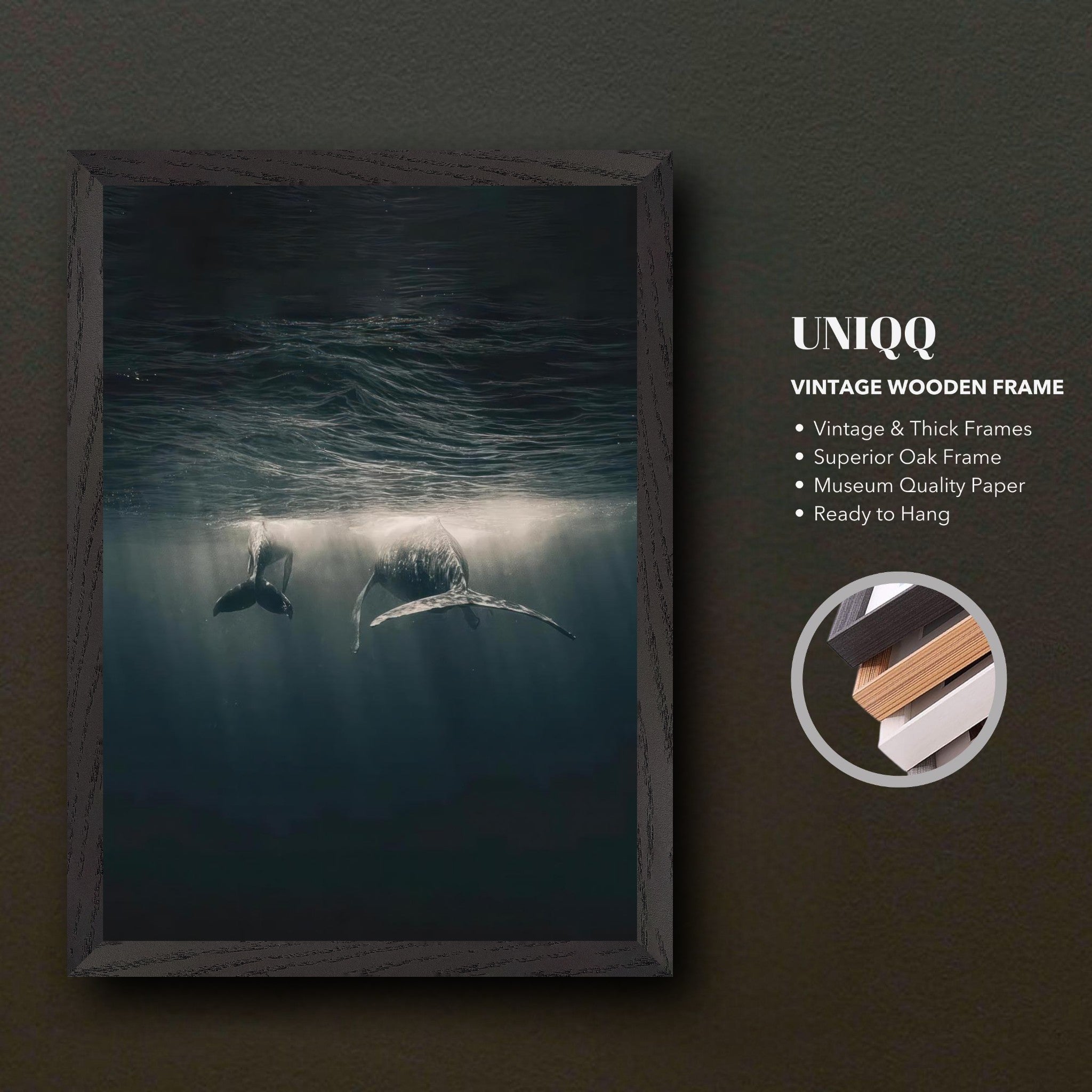 Whales swimming underwater in a vintage framed print, capturing ocean serenity and elegance.