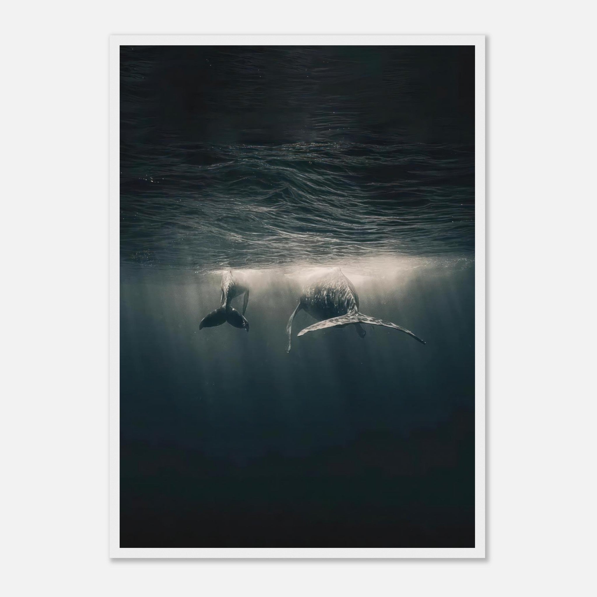 Two majestic whales gliding gracefully underwater with sunlight filtering through the ocean's surface.