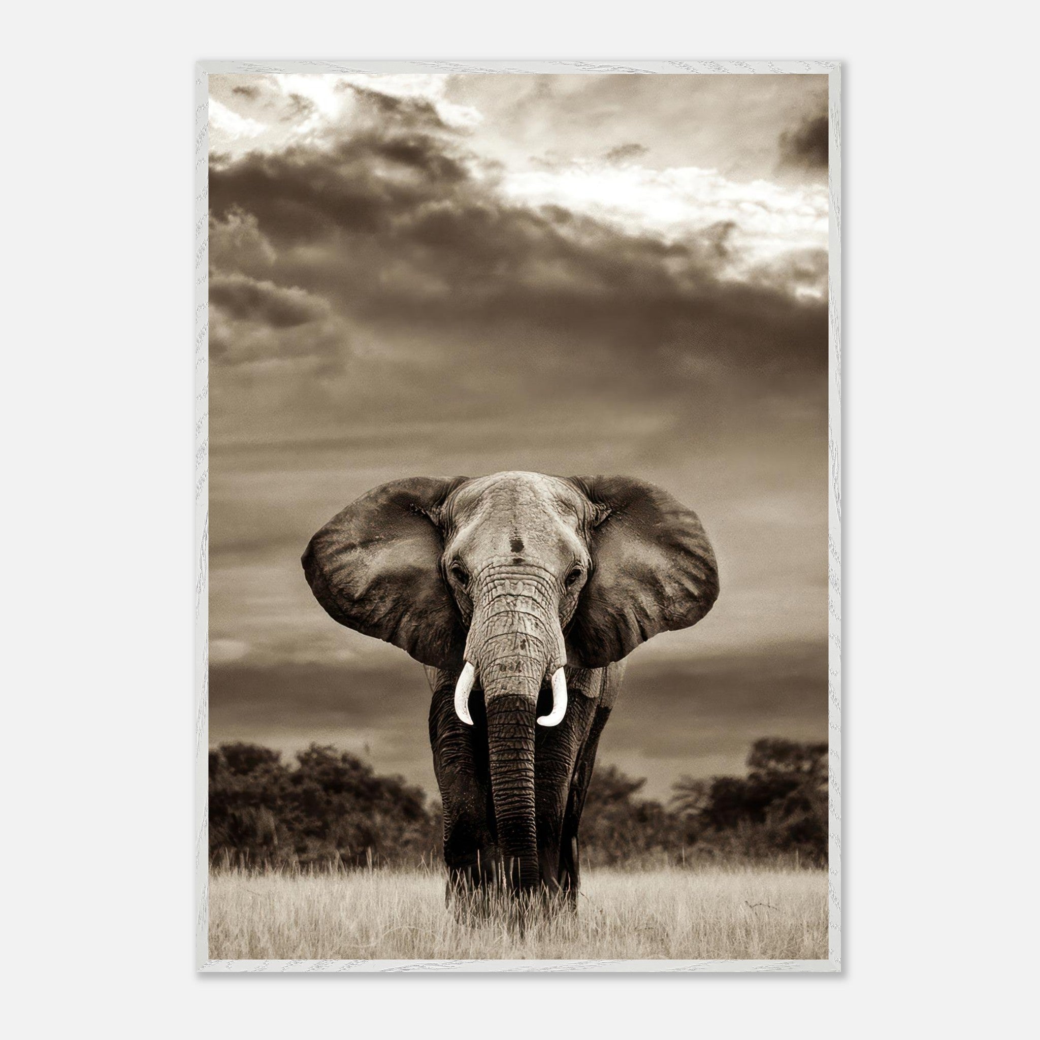 Stunning black-and-white elephant portrait photography capturing strength and grace in a natural habitat.
