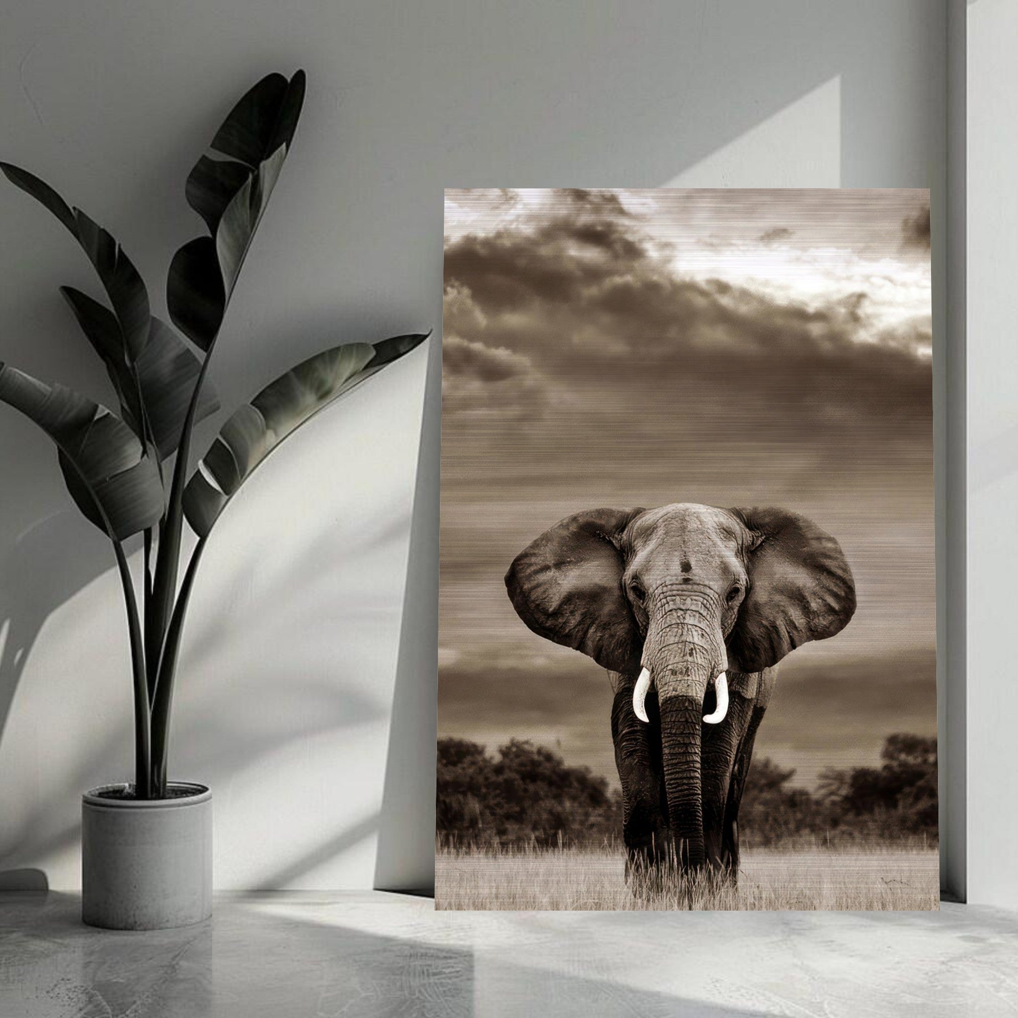 Stunning elephant portrait photography on brushed metal, showcasing the majestic animal against a dramatic sky.