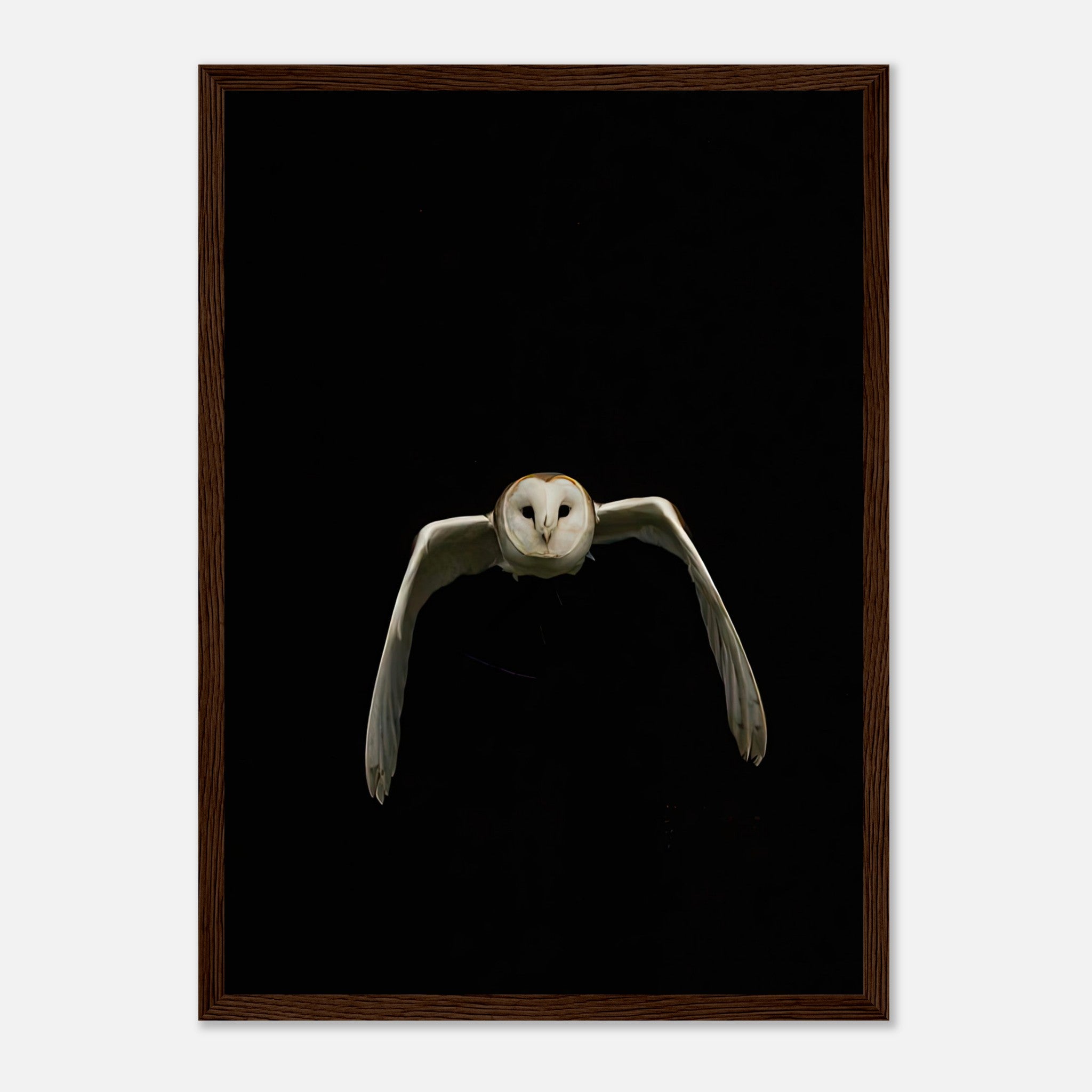 Owl framed print featuring a barn owl in flight against a black background, ideal for modern home decor.