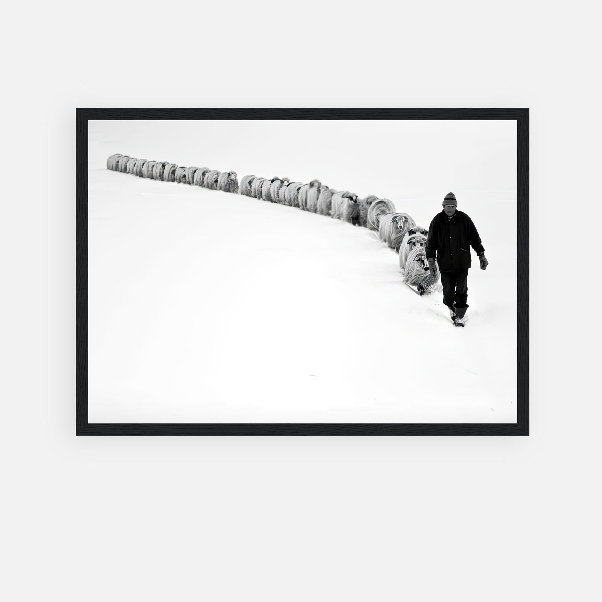 The Shepherd's Trail framed print featuring a shepherd guiding his flock in a serene snow-covered landscape.