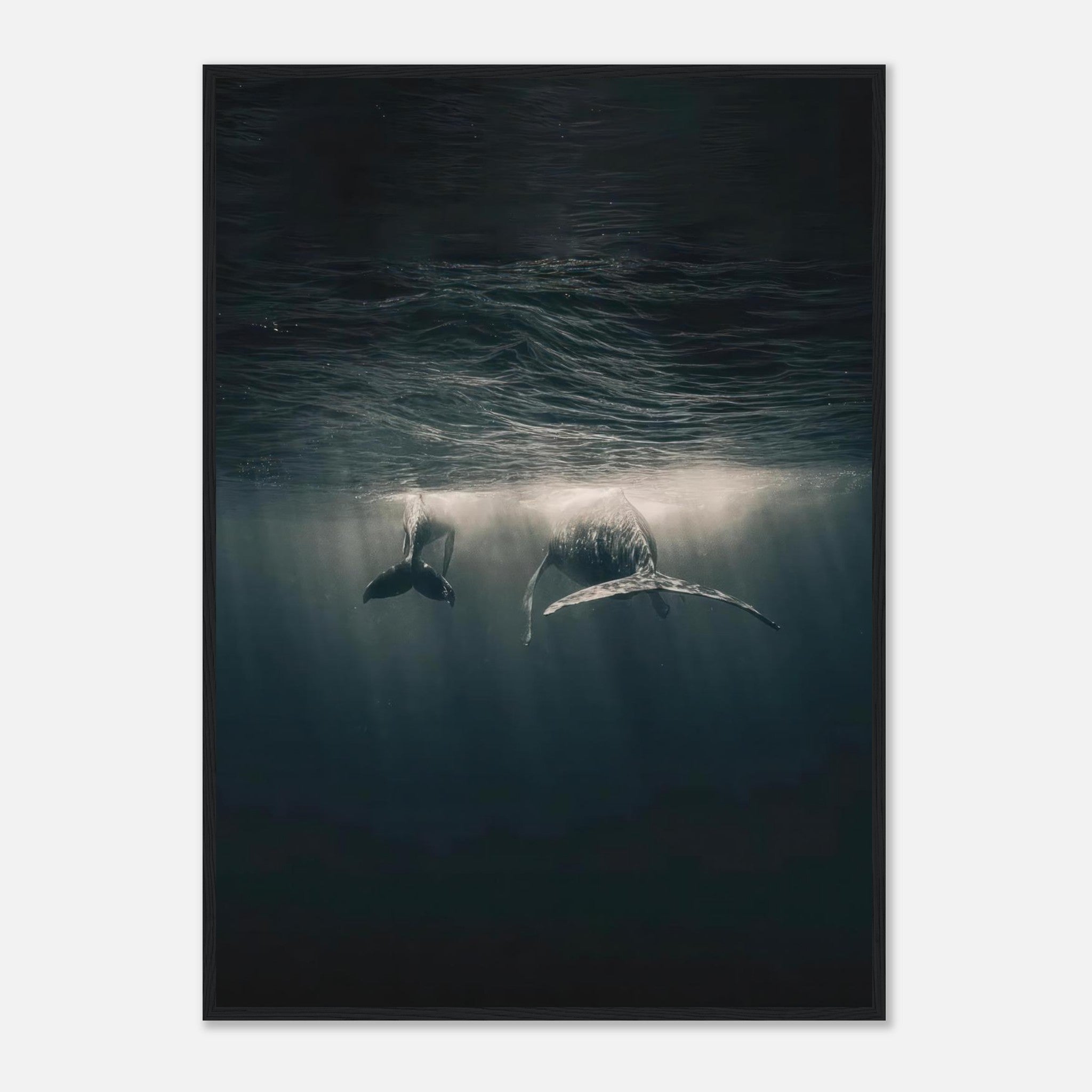 Whales swimming underwater in the ocean, framed print showcasing marine life and sunlight effects.