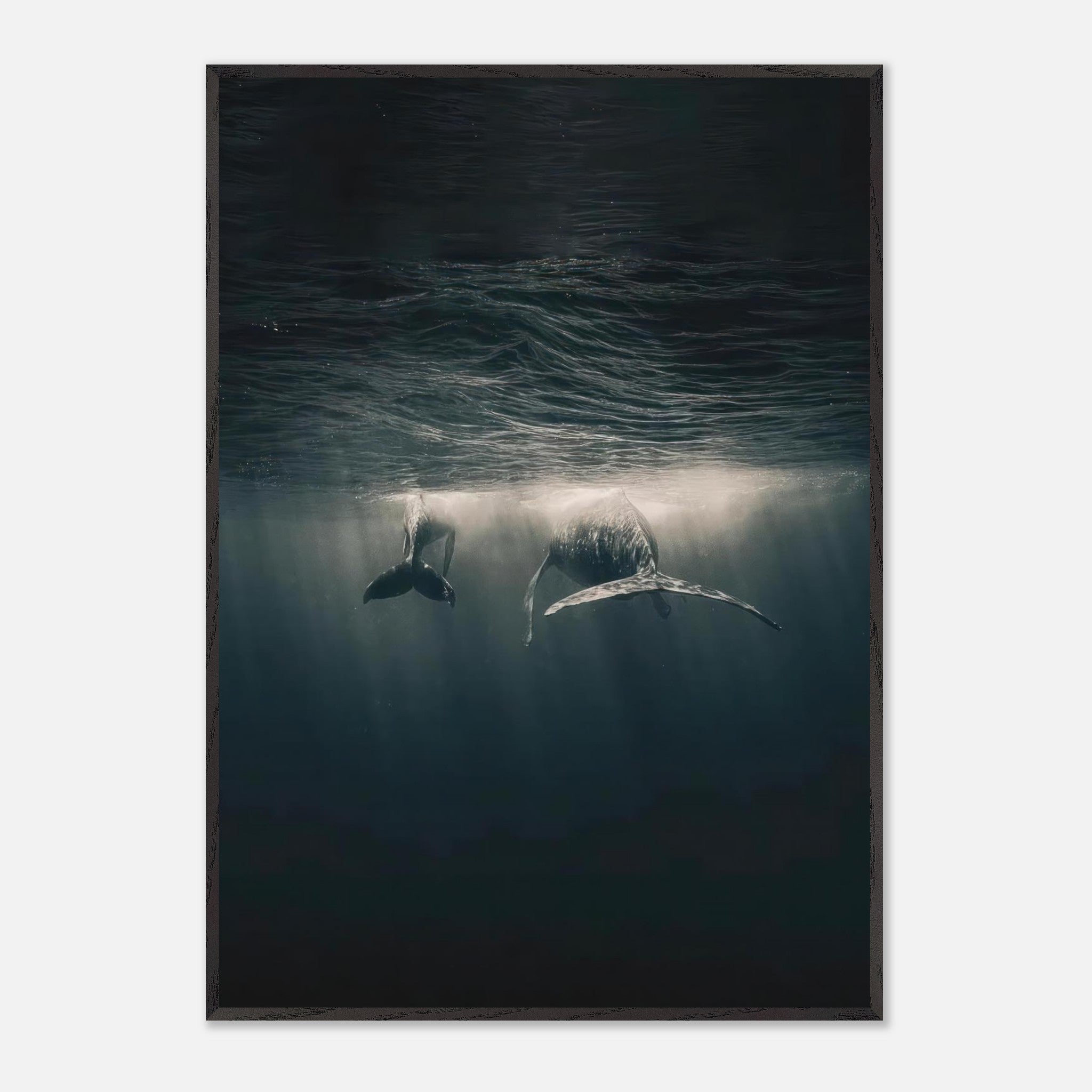 Majestic whales gliding underwater, illuminated by light beams in a serene ocean setting, fine art print.